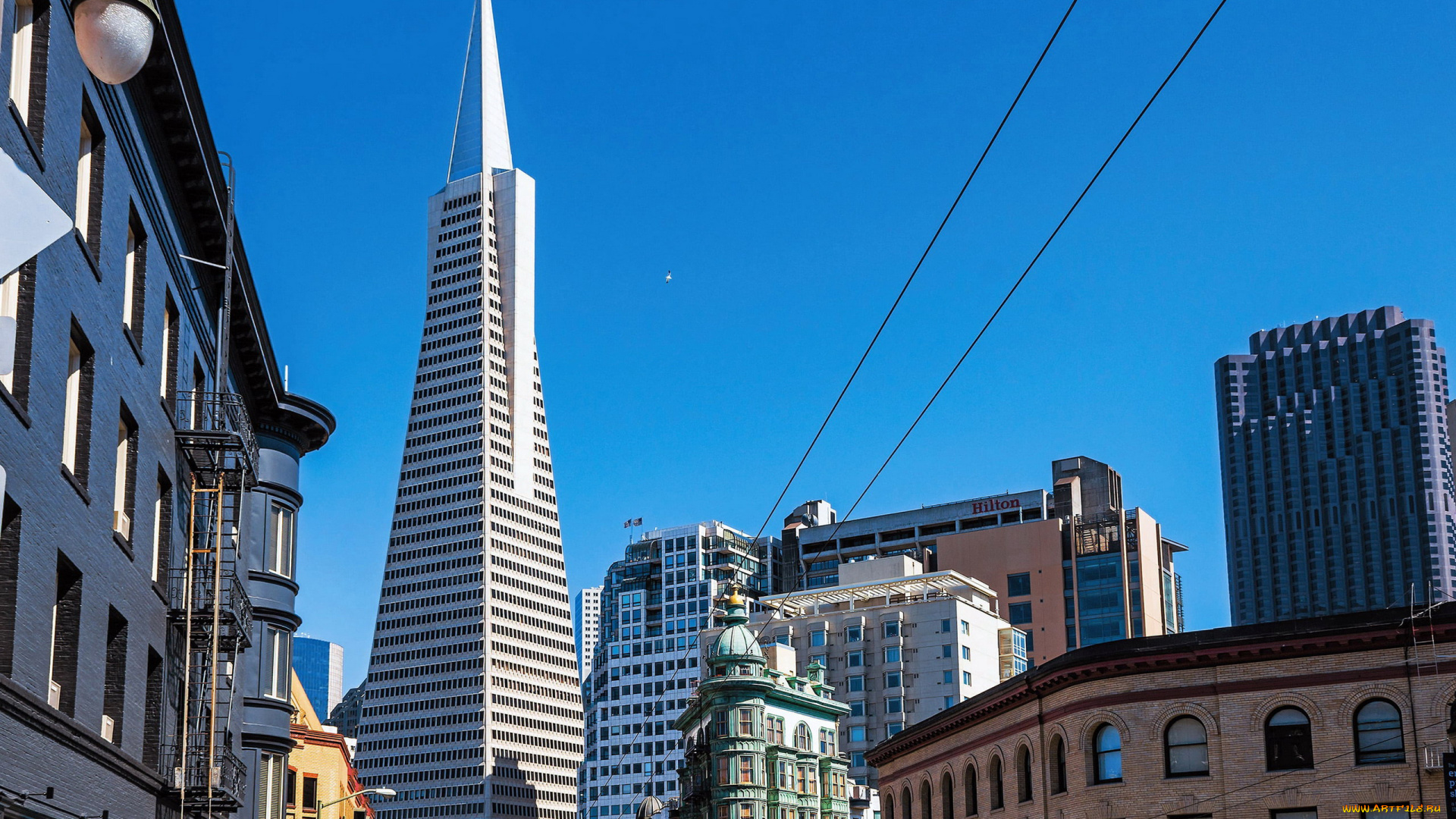 transamerica, pyramid, города, сан-франциско, , сша, transamerica, pyramid