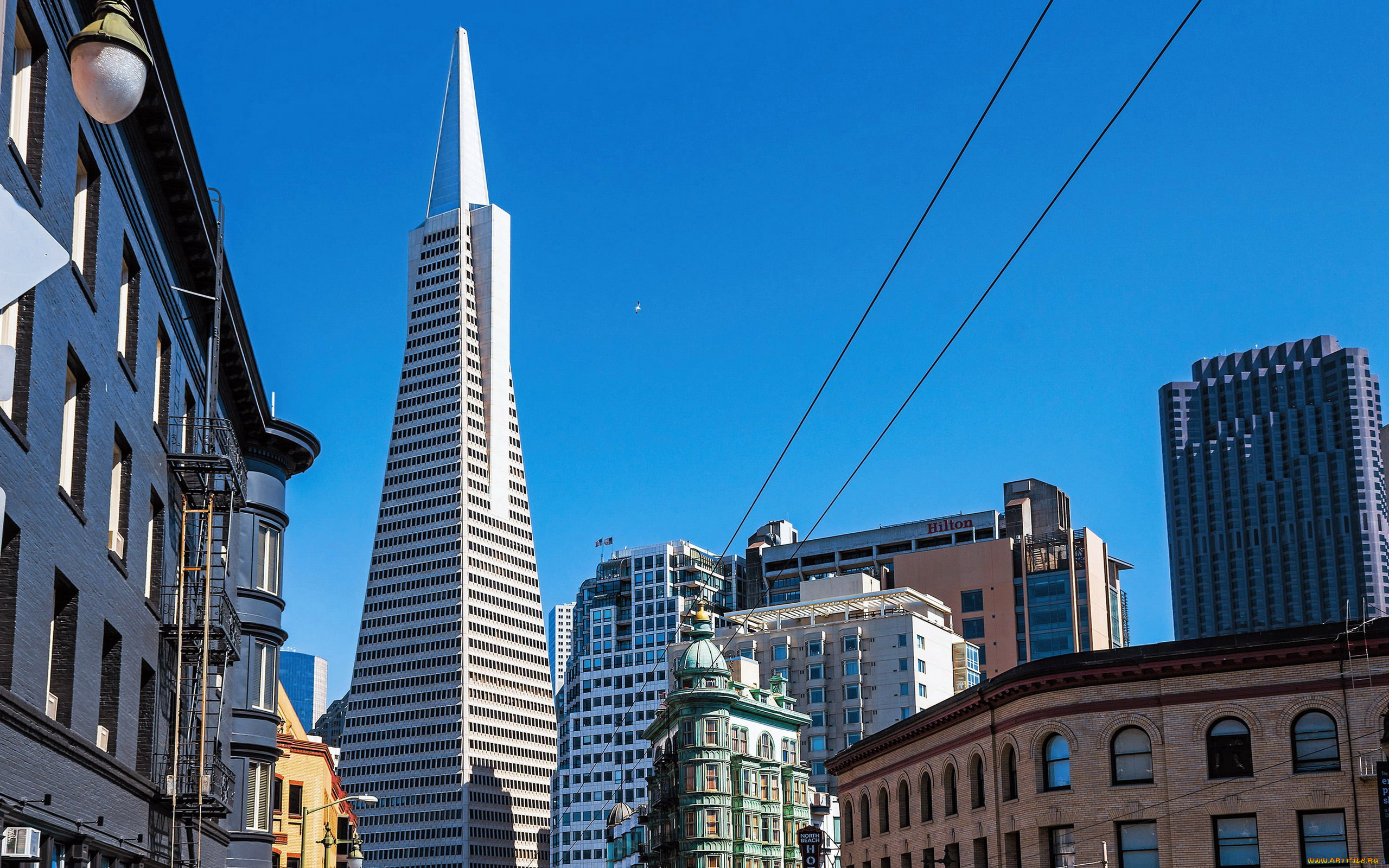 transamerica, pyramid, города, сан-франциско, , сша, transamerica, pyramid