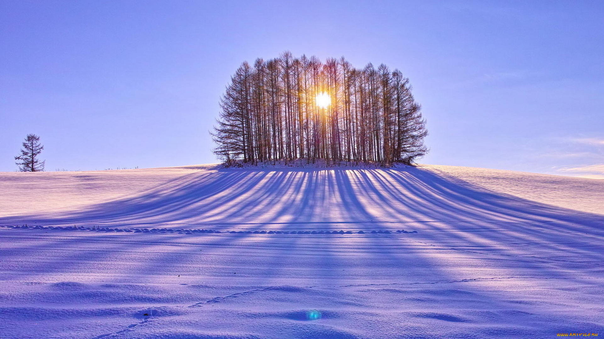 природа, зима, снег, тень, деревья, солнце, поле