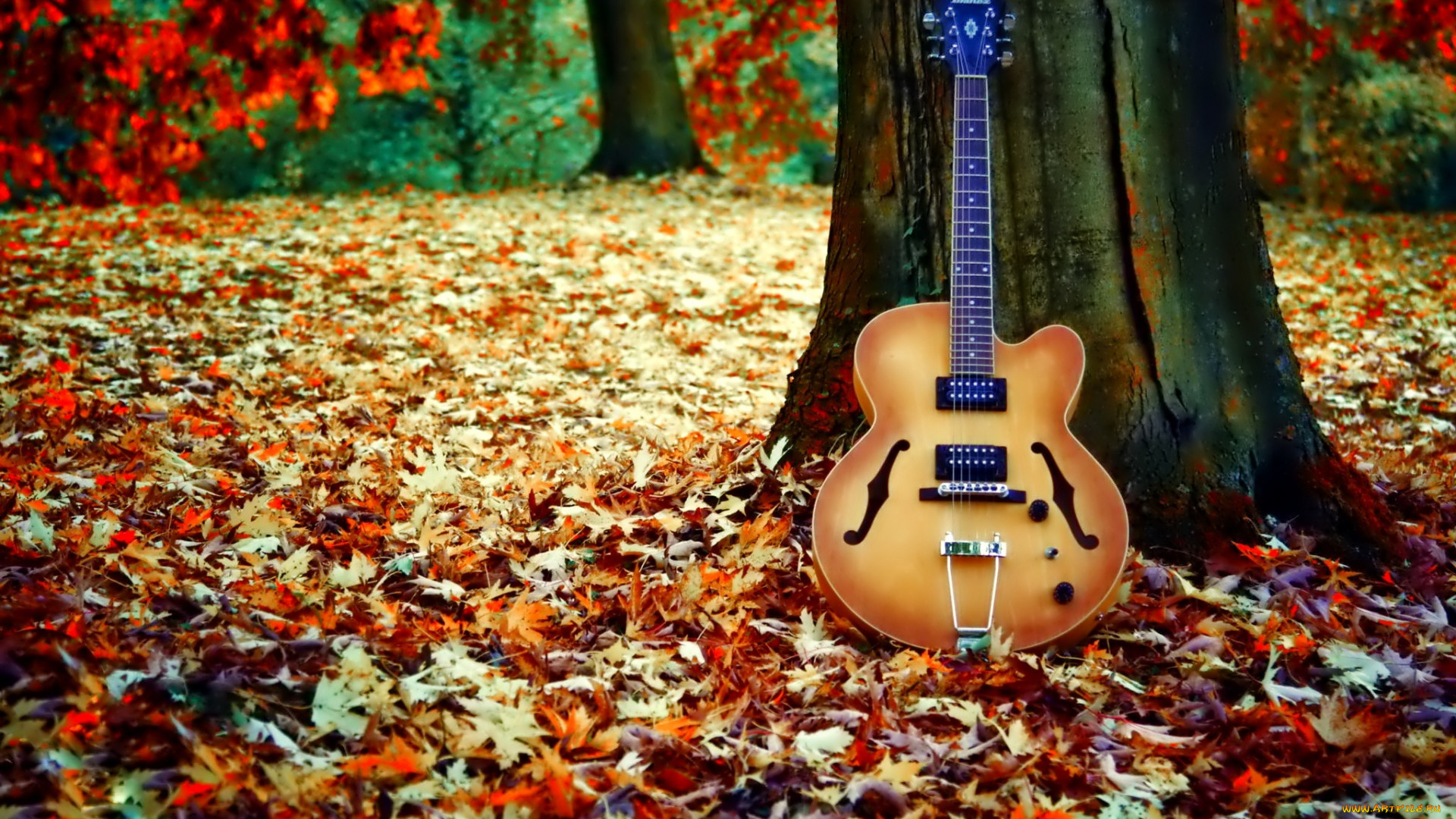 музыка, -музыкальные, инструменты, осень, листья, гитара