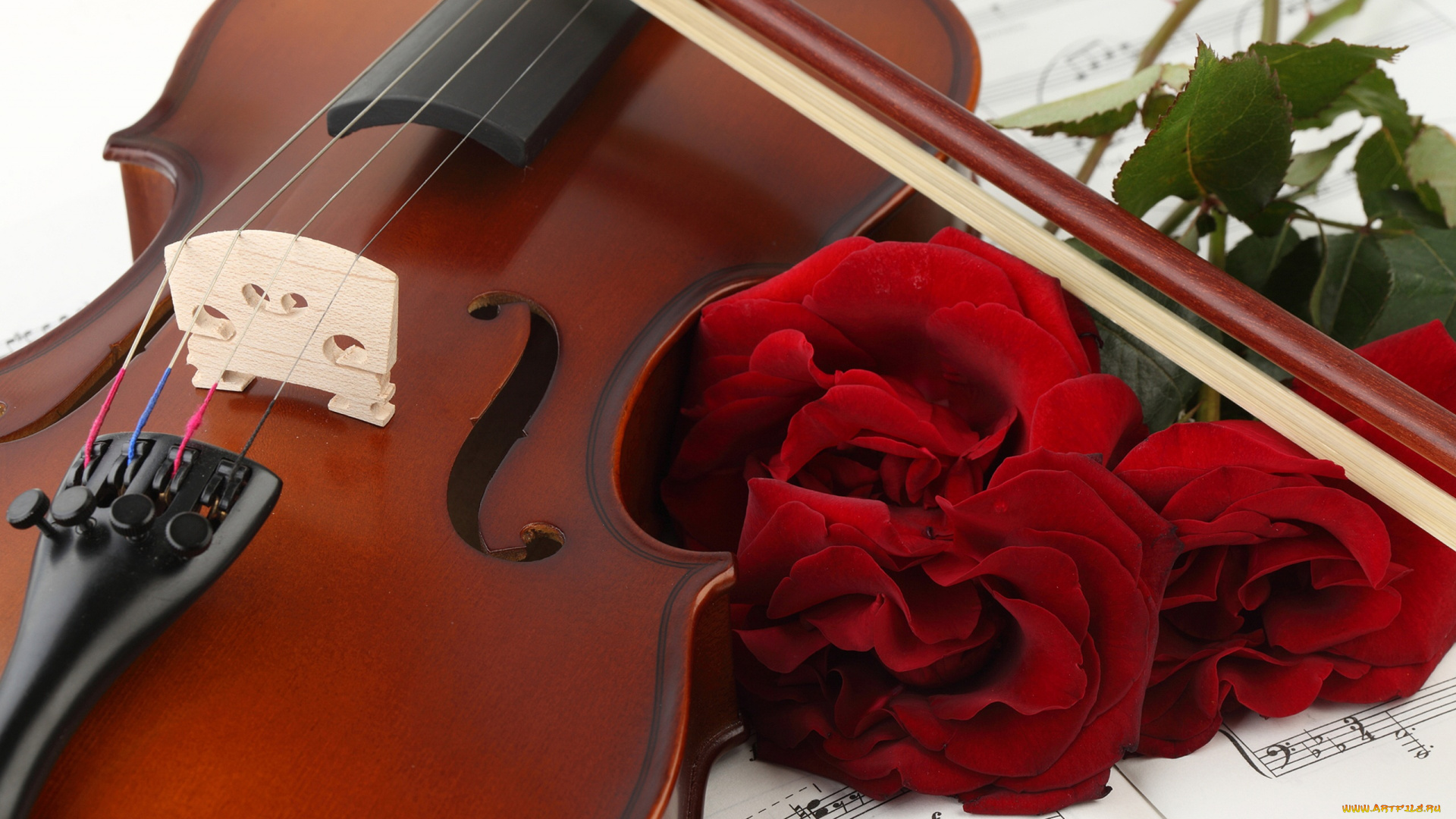 музыка, -музыкальные, инструменты, скрипка, смычок, розы