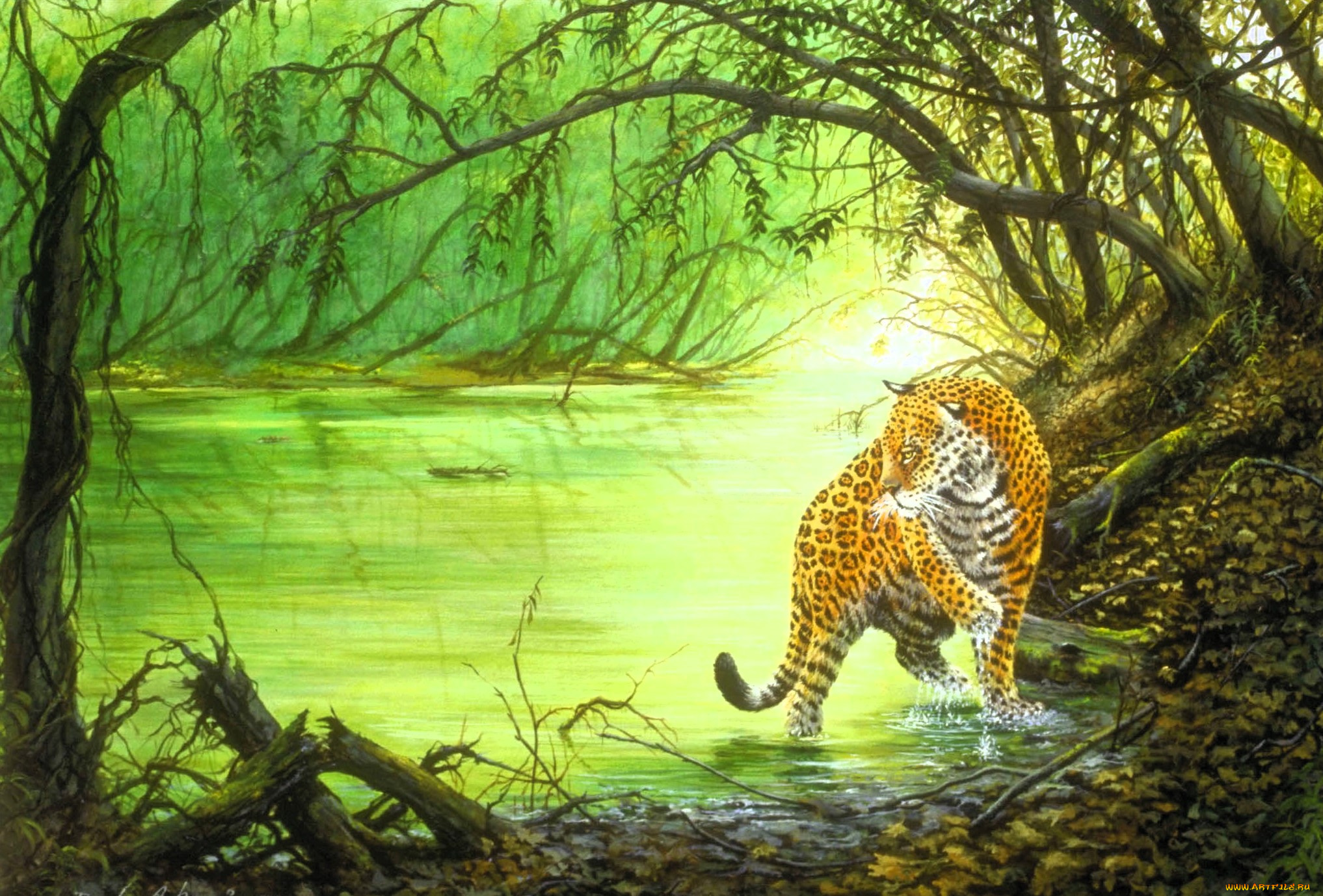 рисованное, животные, , ягуары, , леопарды, ягуар, лес, озеро