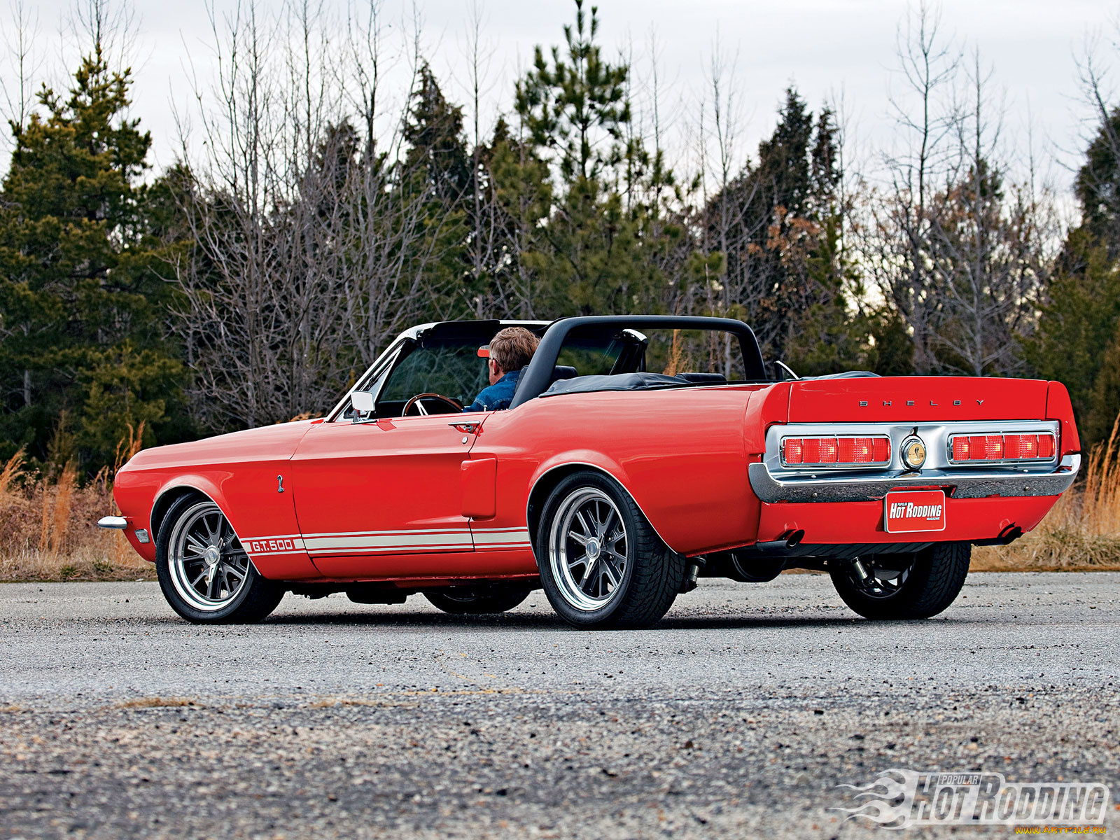 1968, shelby, gt500, автомобили, mustang