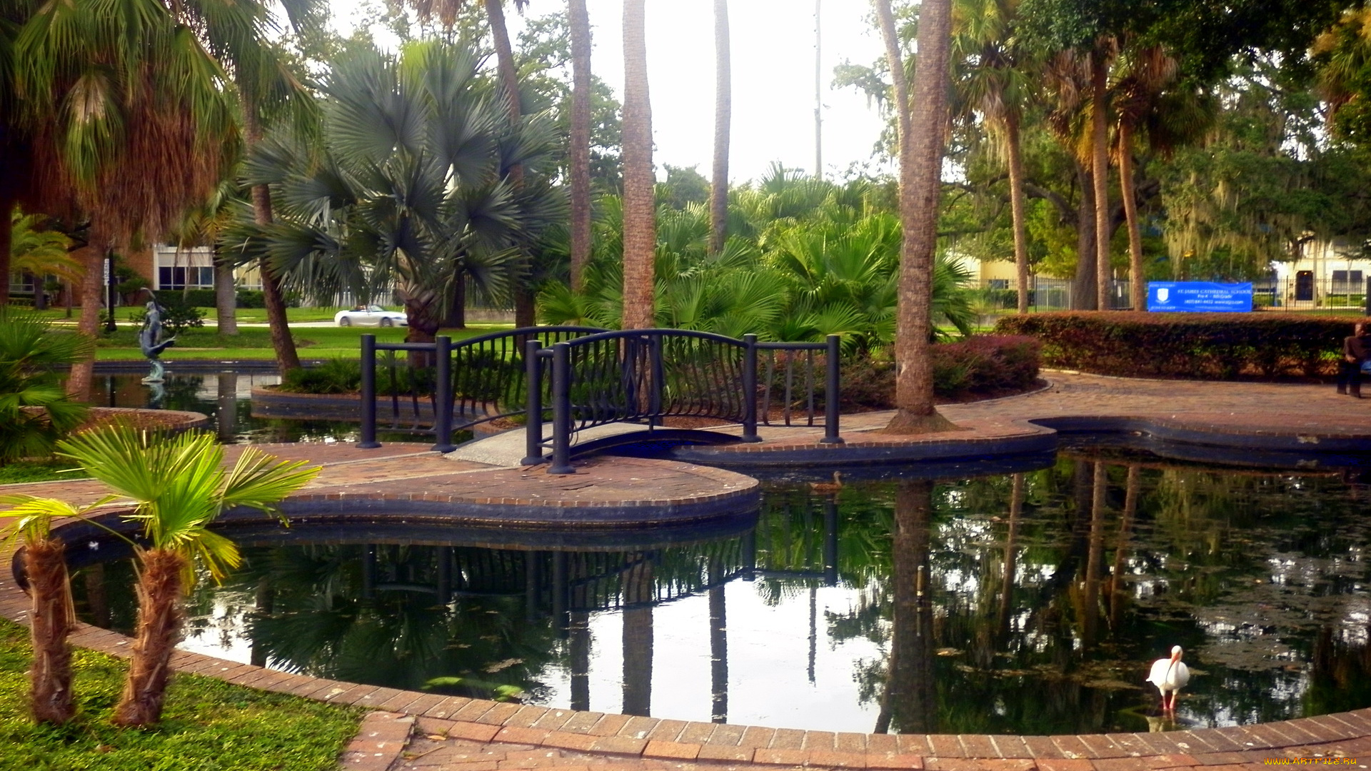 lake, eola, park, orlando, сша, природа, парк