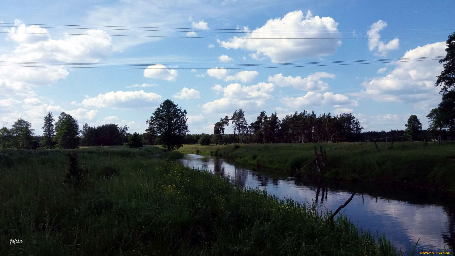 природа, реки, озера, деревья, луг, лето