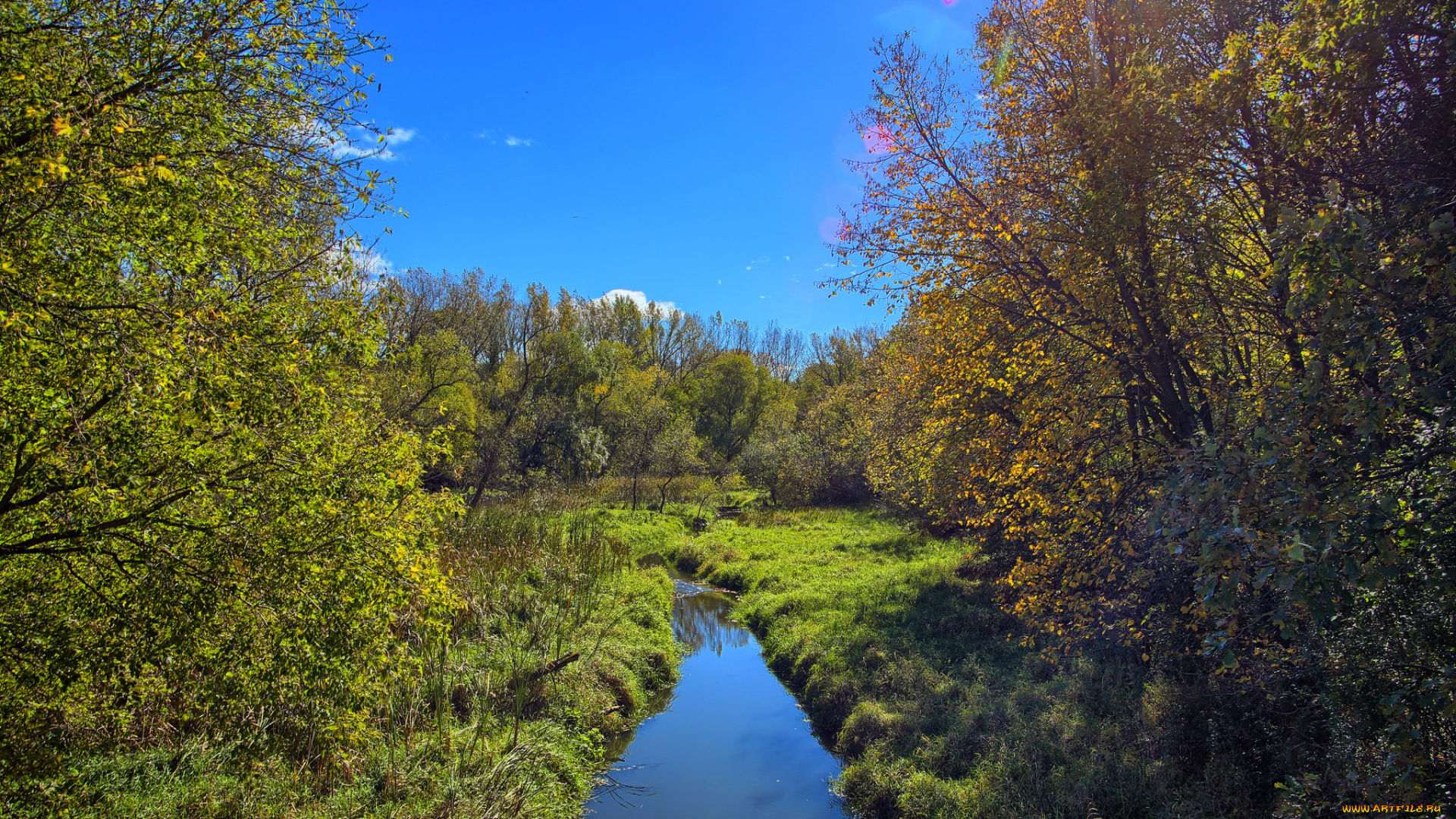 природа, реки, озера, река, лес