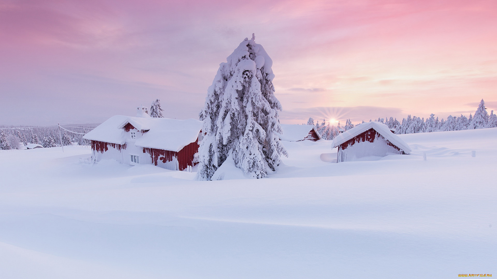 природа, зима, дома, ель, солнце, снег, норвегия