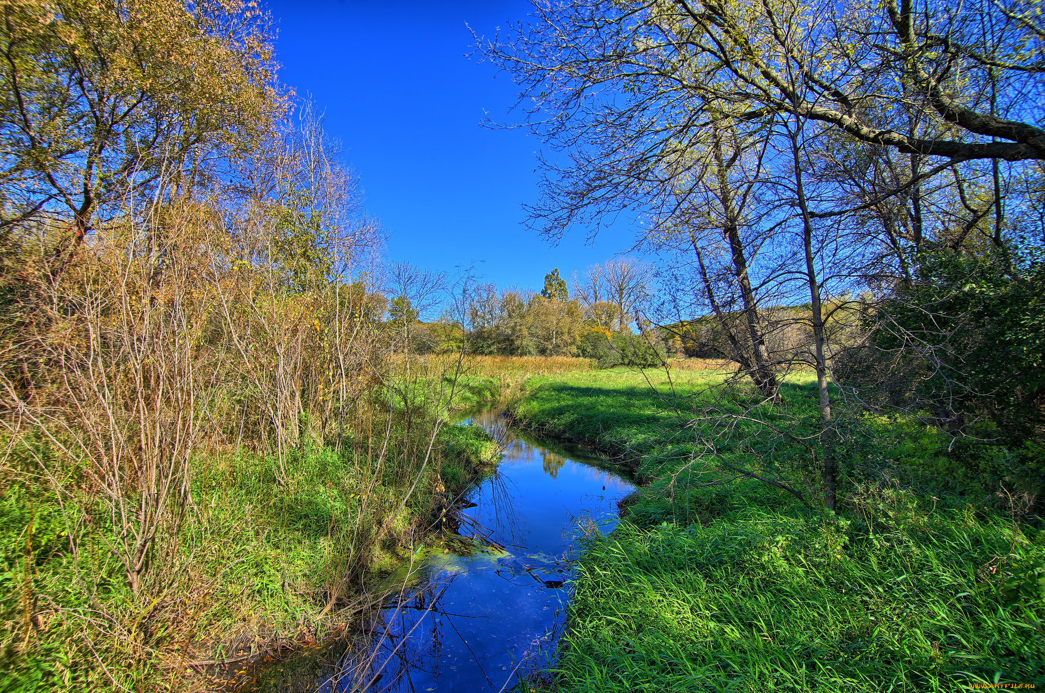 природа, реки, озера, река, лес