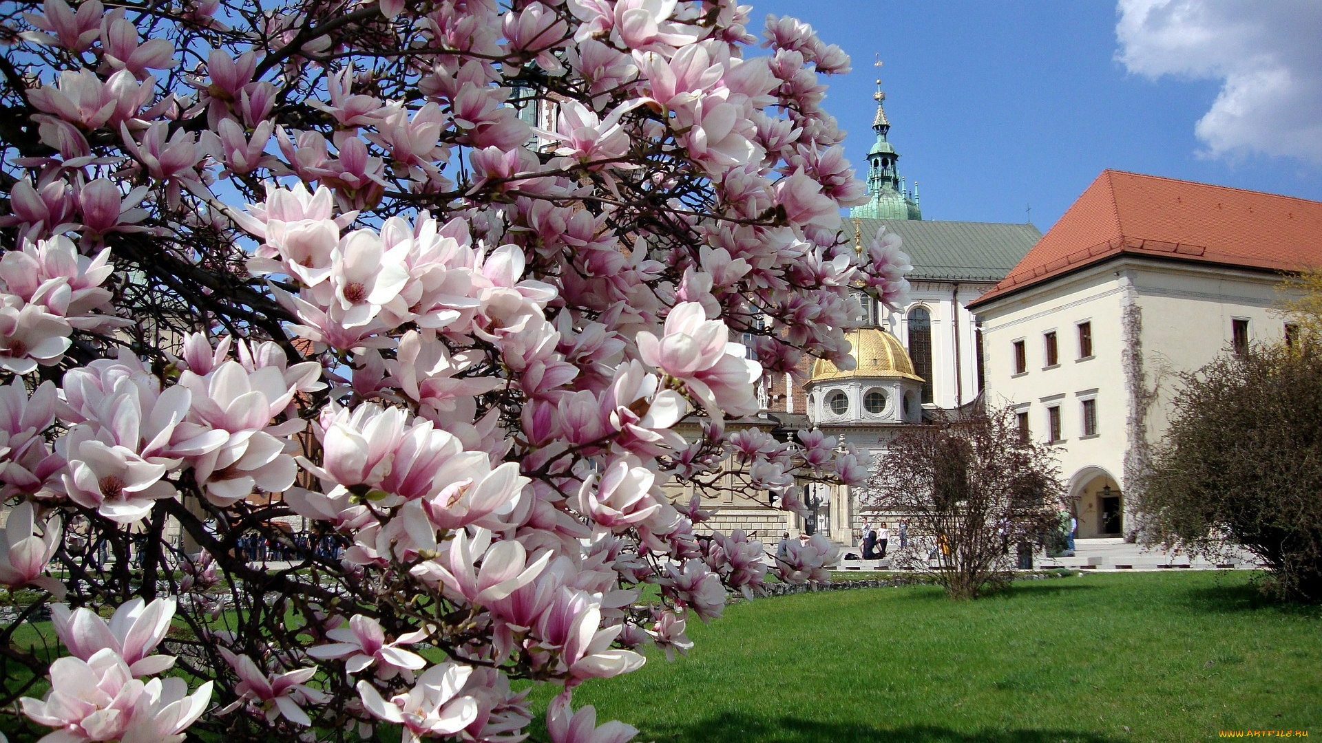 wawel, castle, города, краков, , польша, wawel, castle