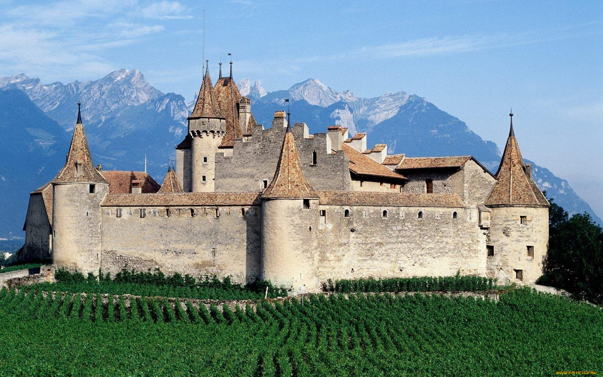 aigle, castle, города, замки, швейцарии, aigle, castle