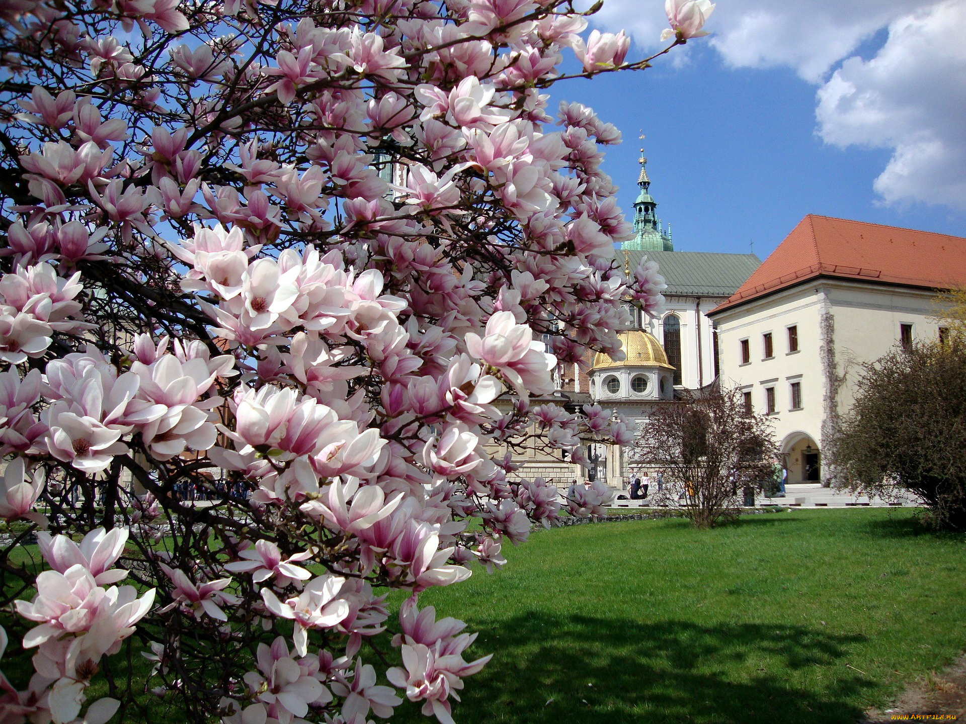 wawel, castle, города, краков, , польша, wawel, castle