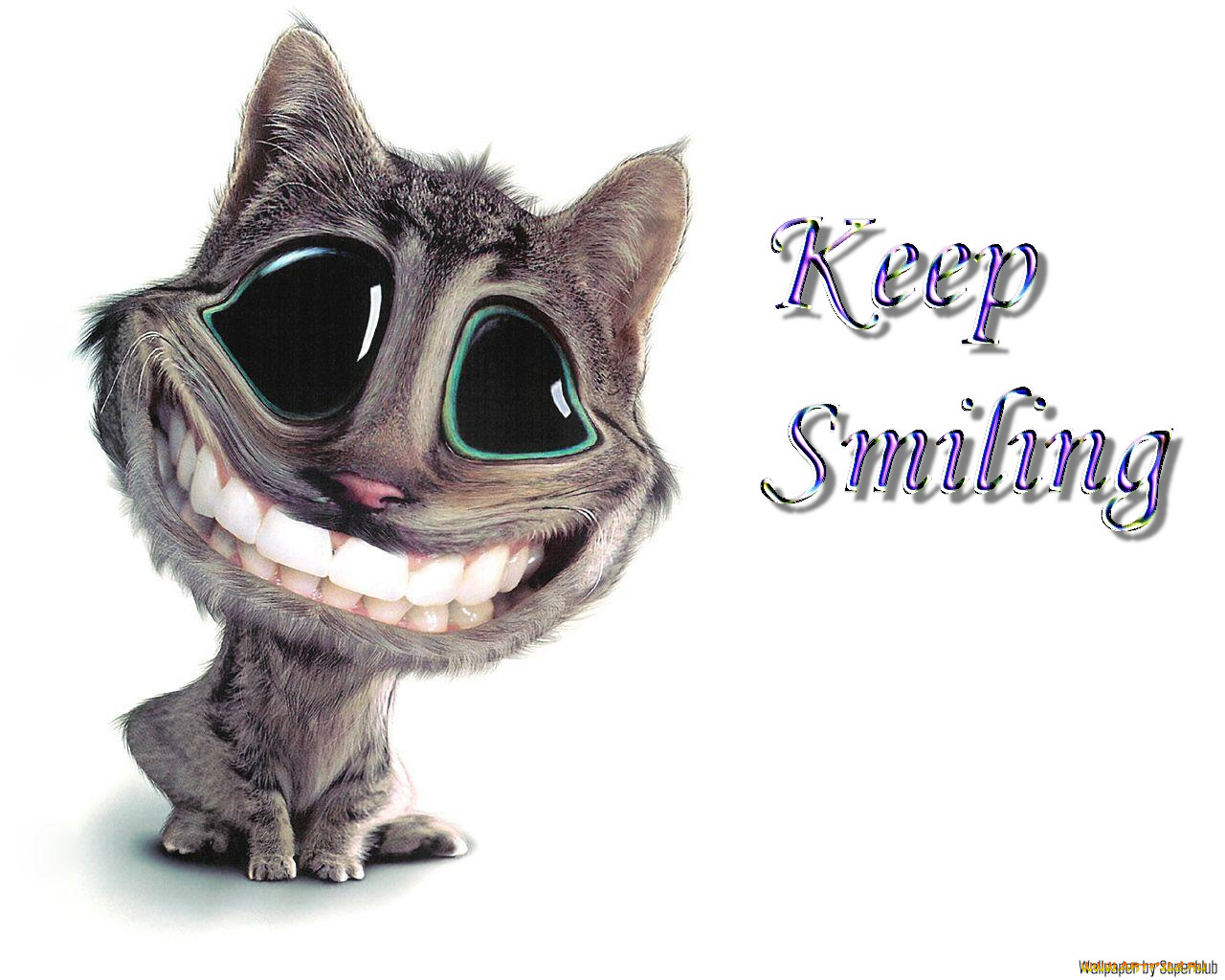 keep, smiling, for, lovely, ladies, юмор, приколы