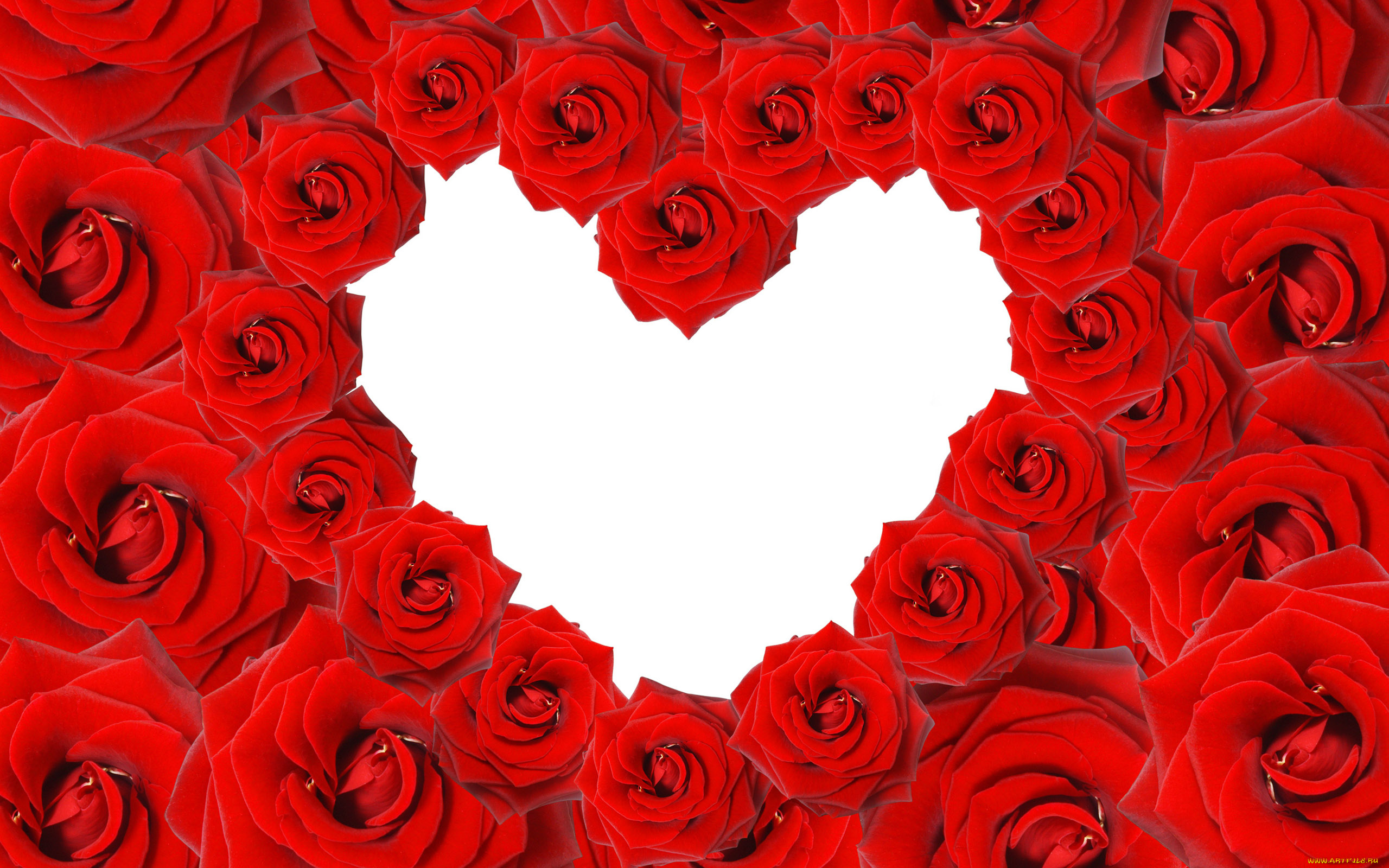 праздничные, день, св, валентина, сердечки, любовь, сердечко, розы
