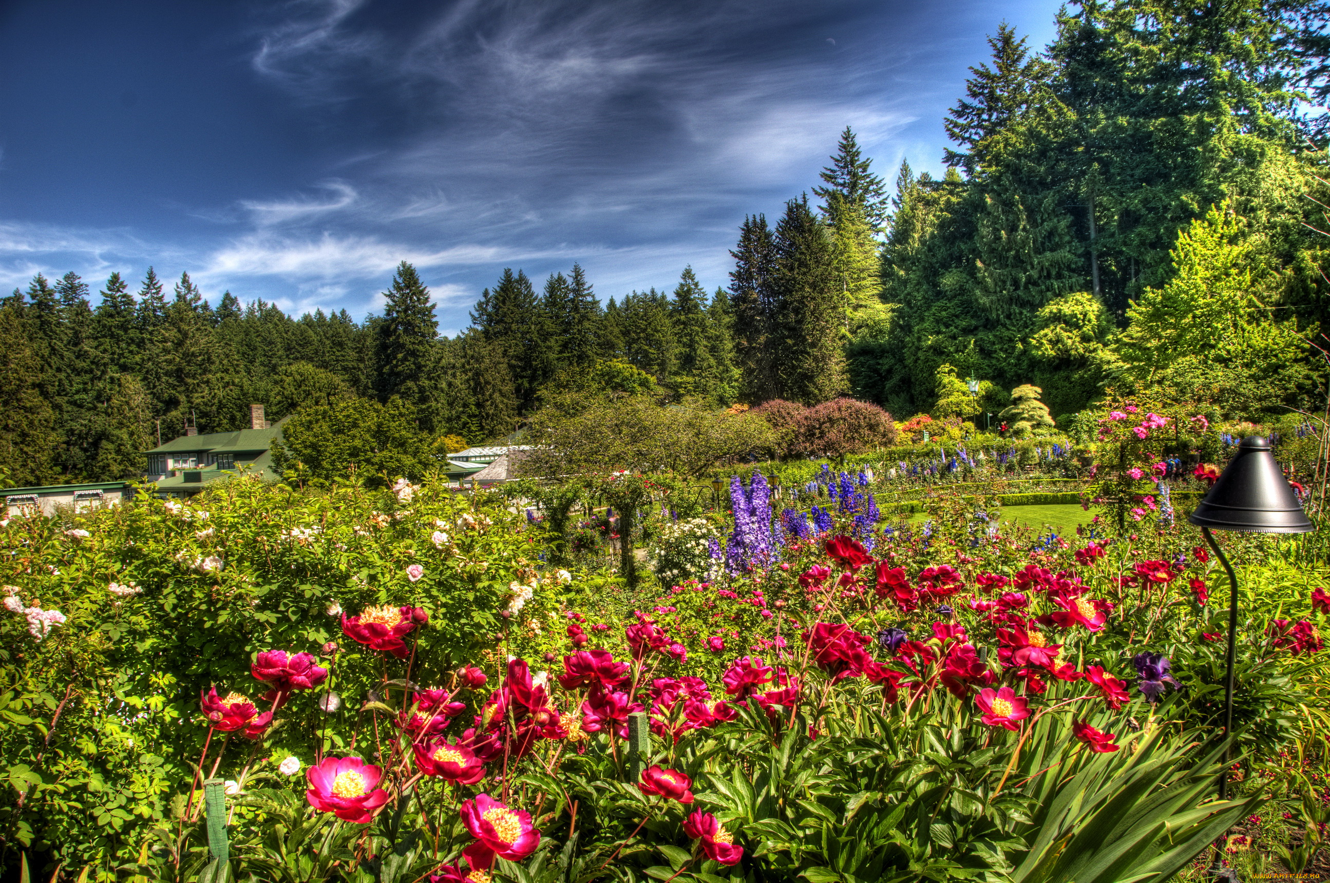 butchart, gardens, victoria, канада, природа, парк, цветы, деревья, клумбы