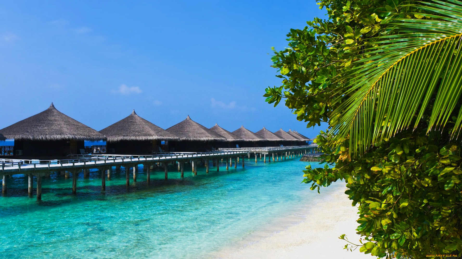 stunning, tropical, beach, bungalows, природа, тропики, бунгало, пальма, пляж, океан
