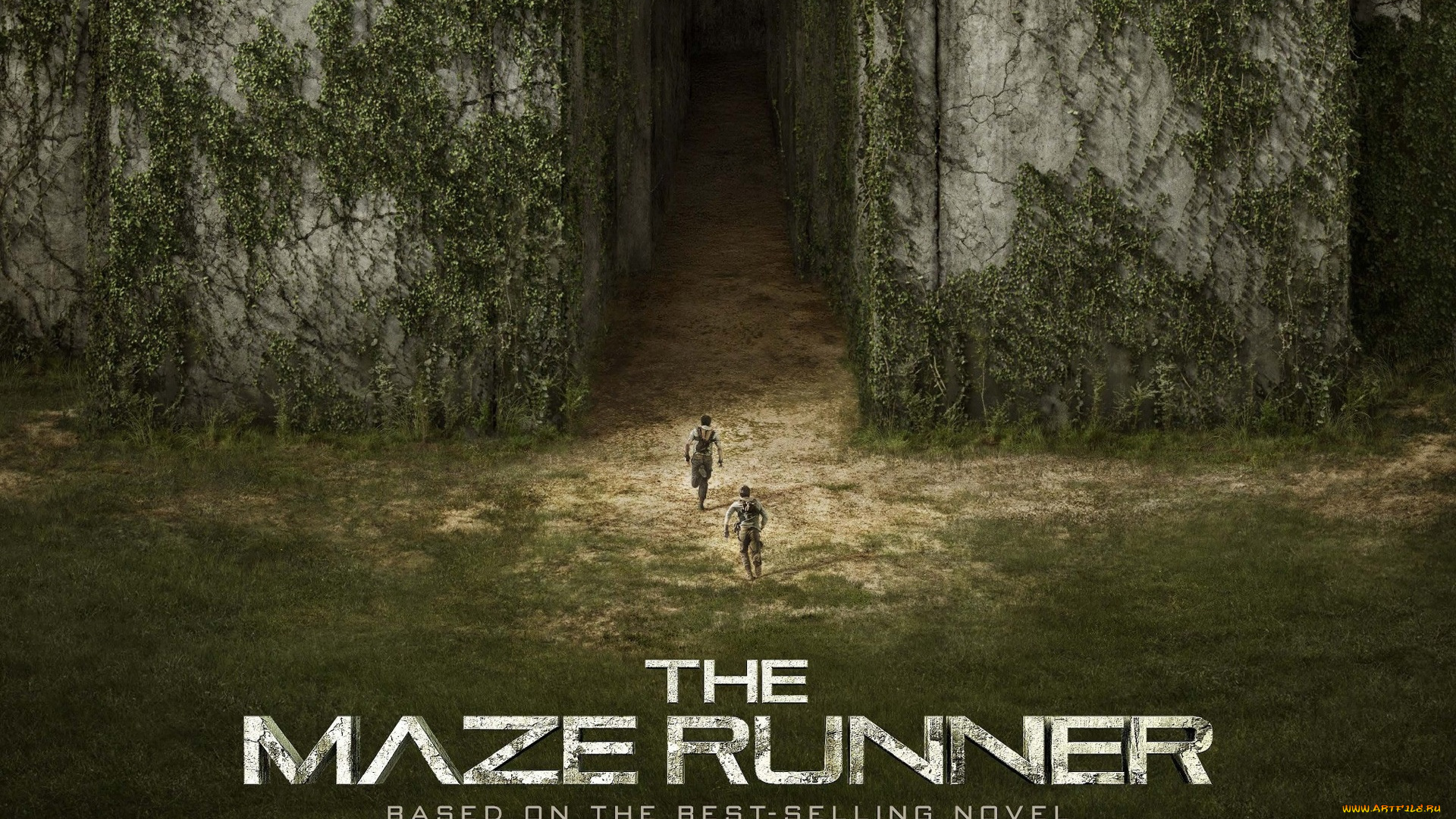 the, maze, runner, кино, фильмы, триллер, фантастика, лабиринту, по, бегущий, runner, maze, the