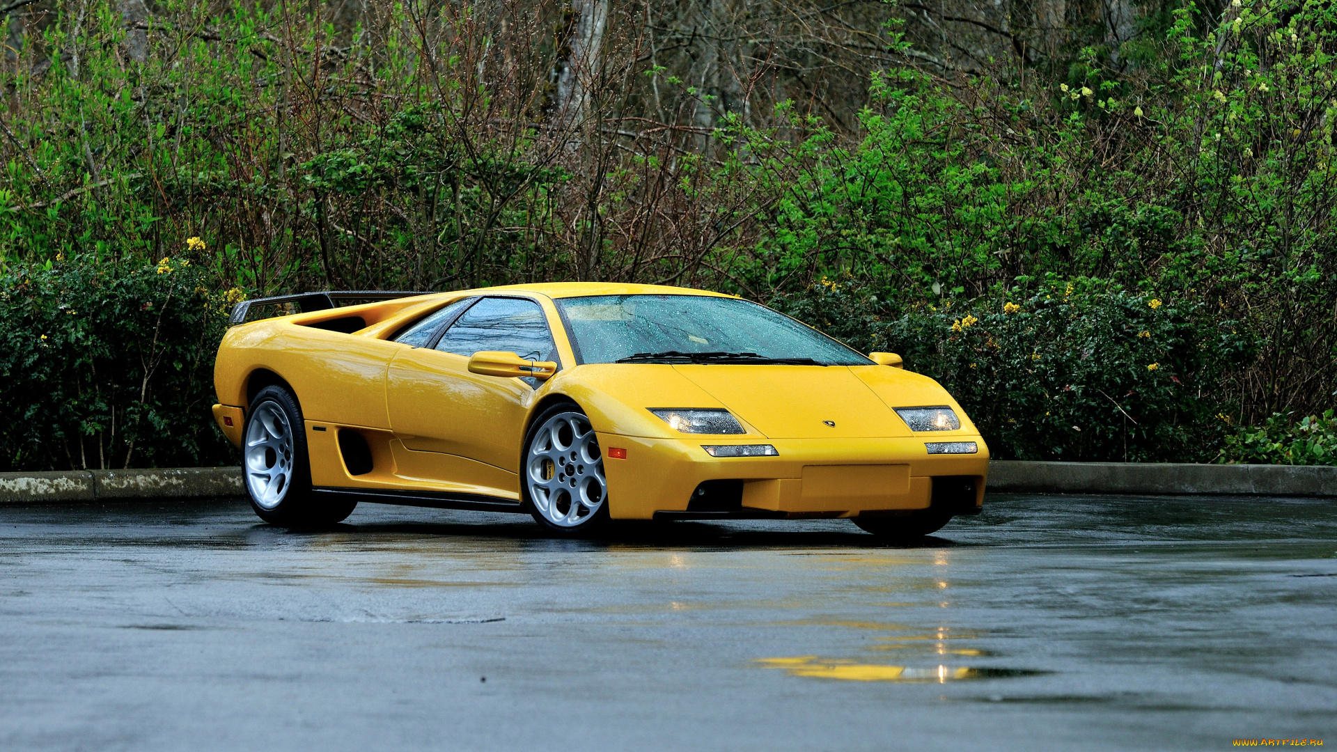 автомобили, lamborghini