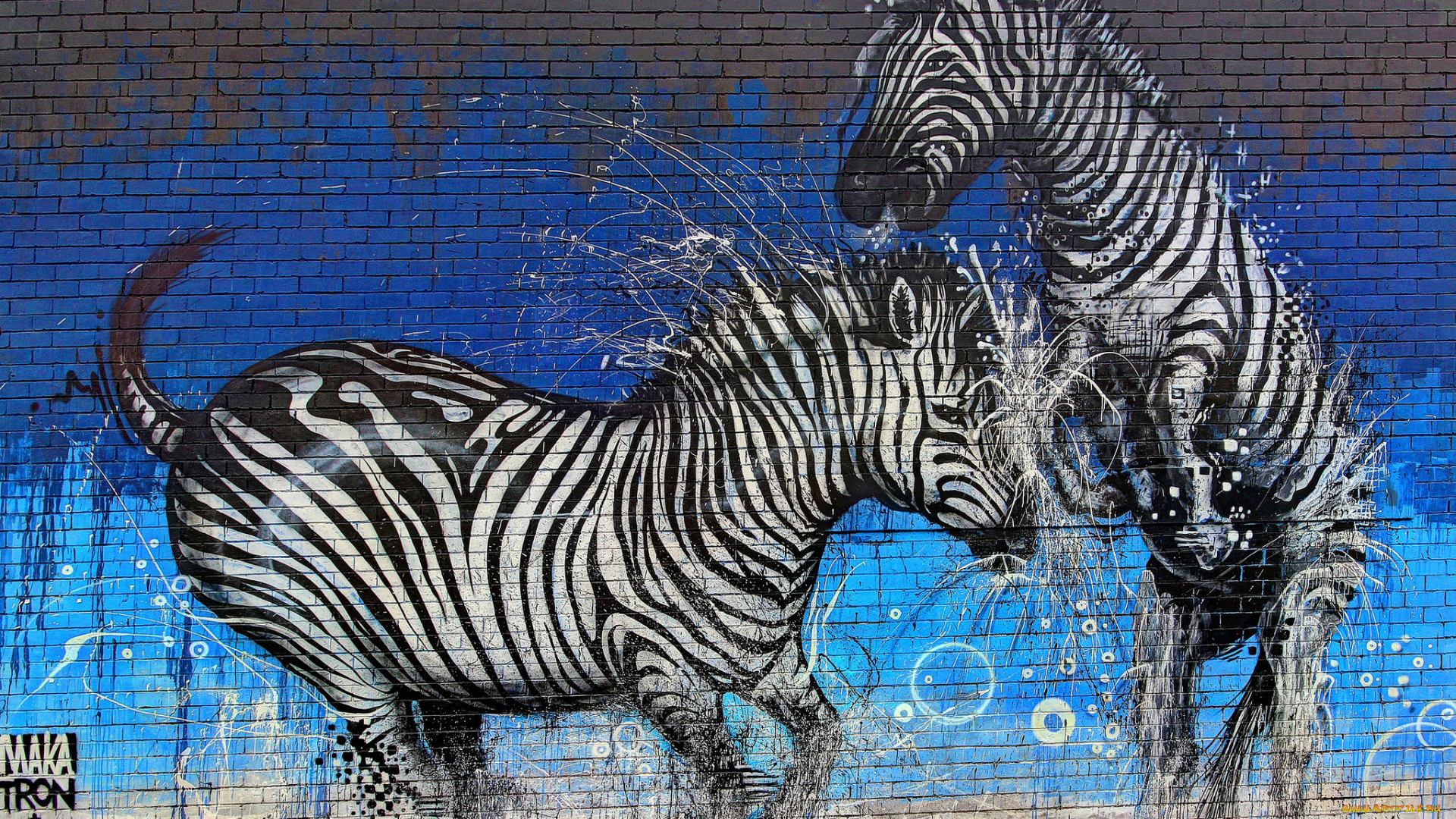 разное, граффити, graffiti, зебры, стена, краски