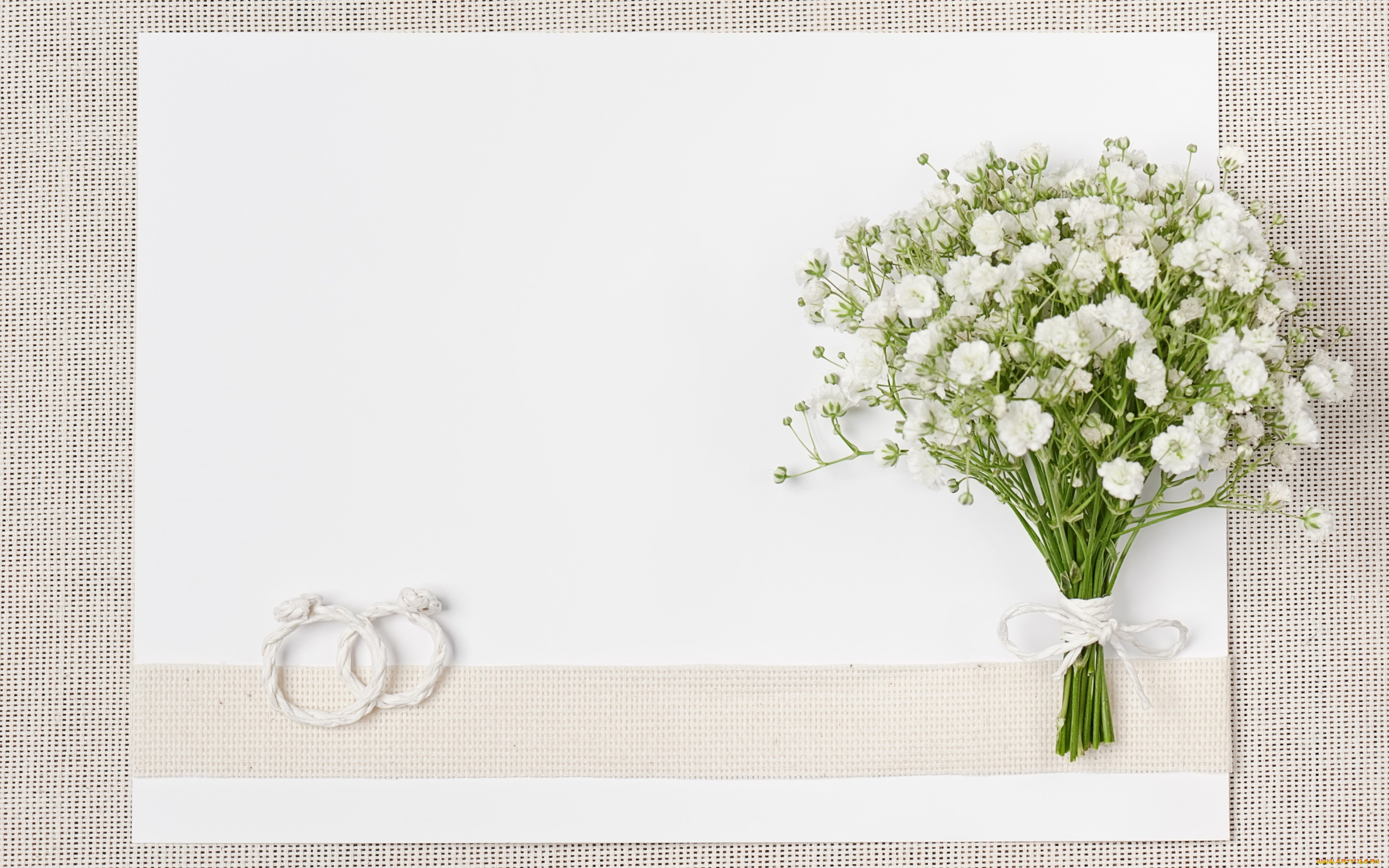 цветы, букеты, , композиции, букет, свадьба, white, ring, flowers, bouquet, wedding