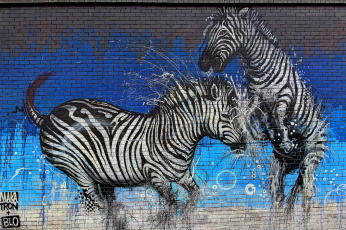 Картинка разное граффити graffiti зебры стена краски