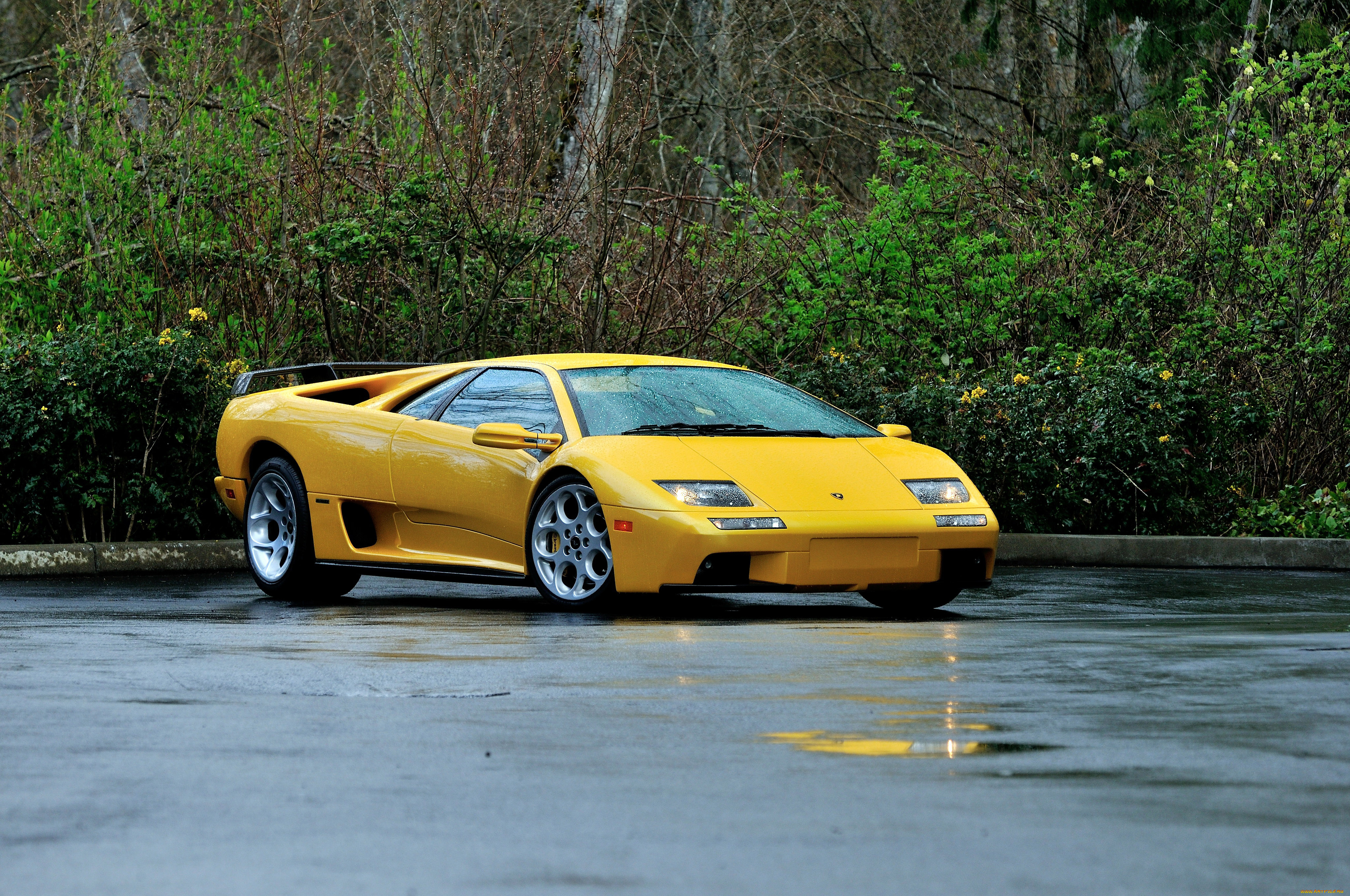 автомобили, lamborghini