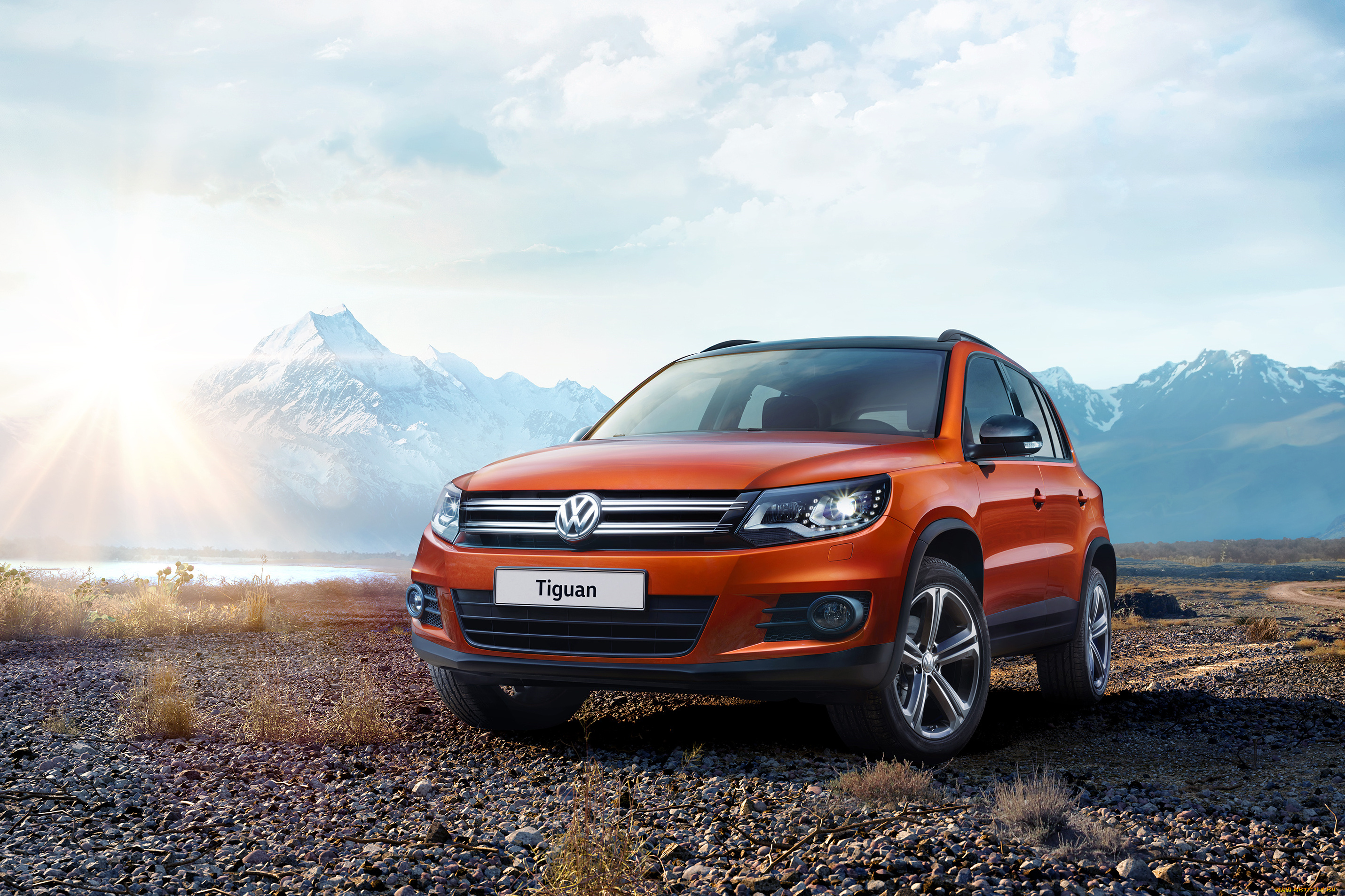 автомобили, volkswagen, tiguan, allstar, 2016г