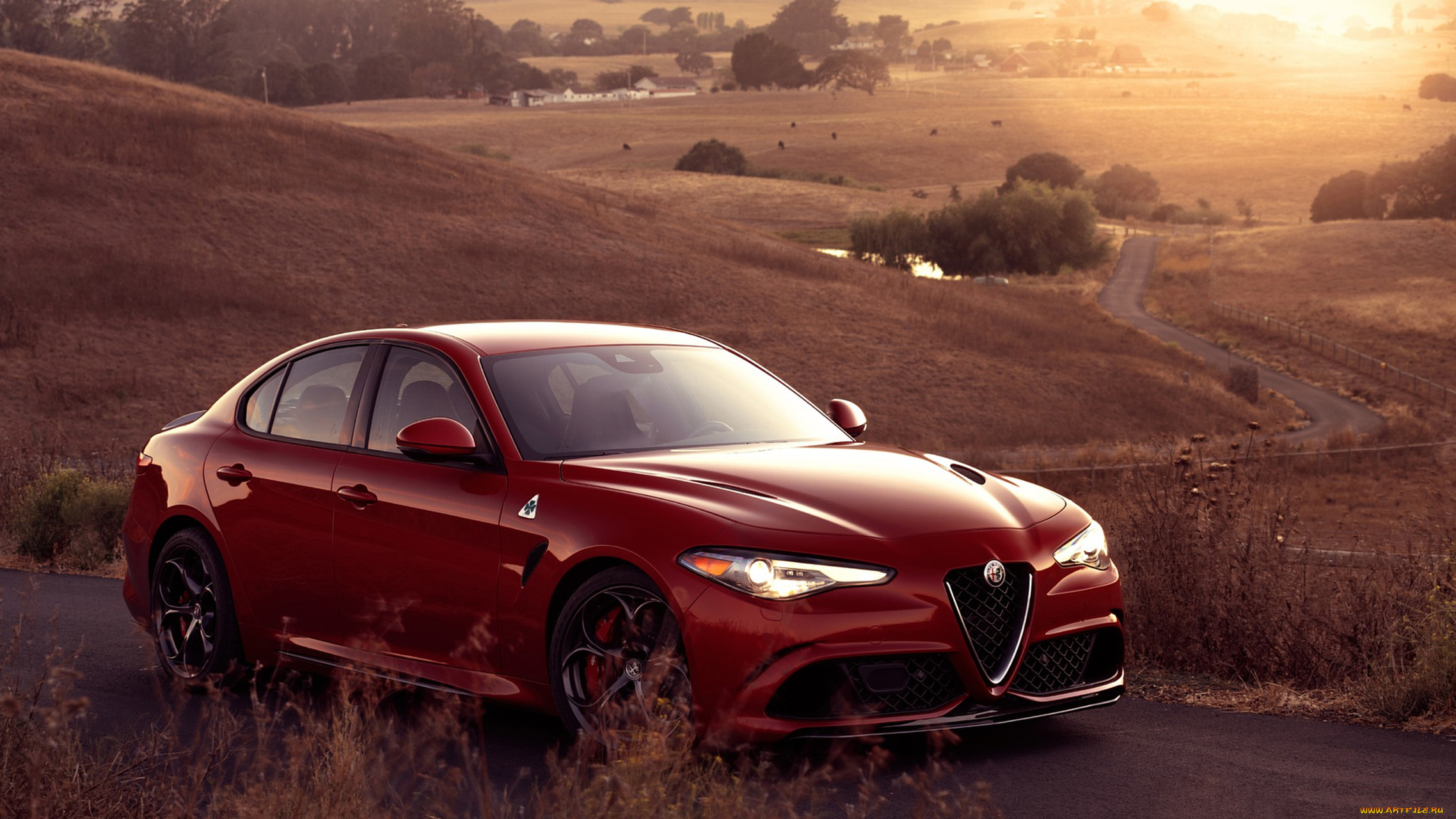 автомобили, alfa, romeo, 2017, quadrifoglio, giulia, alfa, romeo