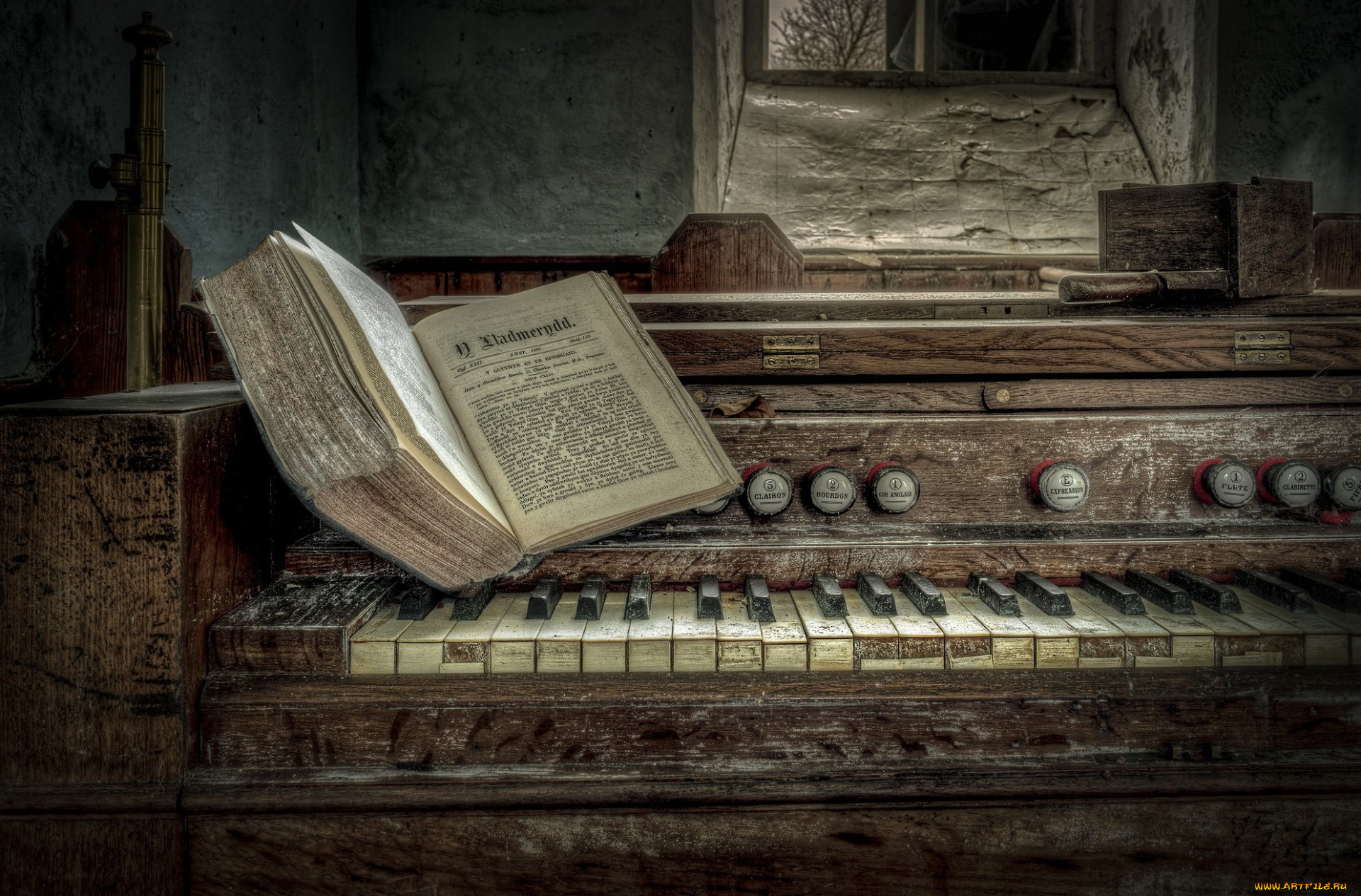 музыка, -музыкальные, инструменты, орган, книга