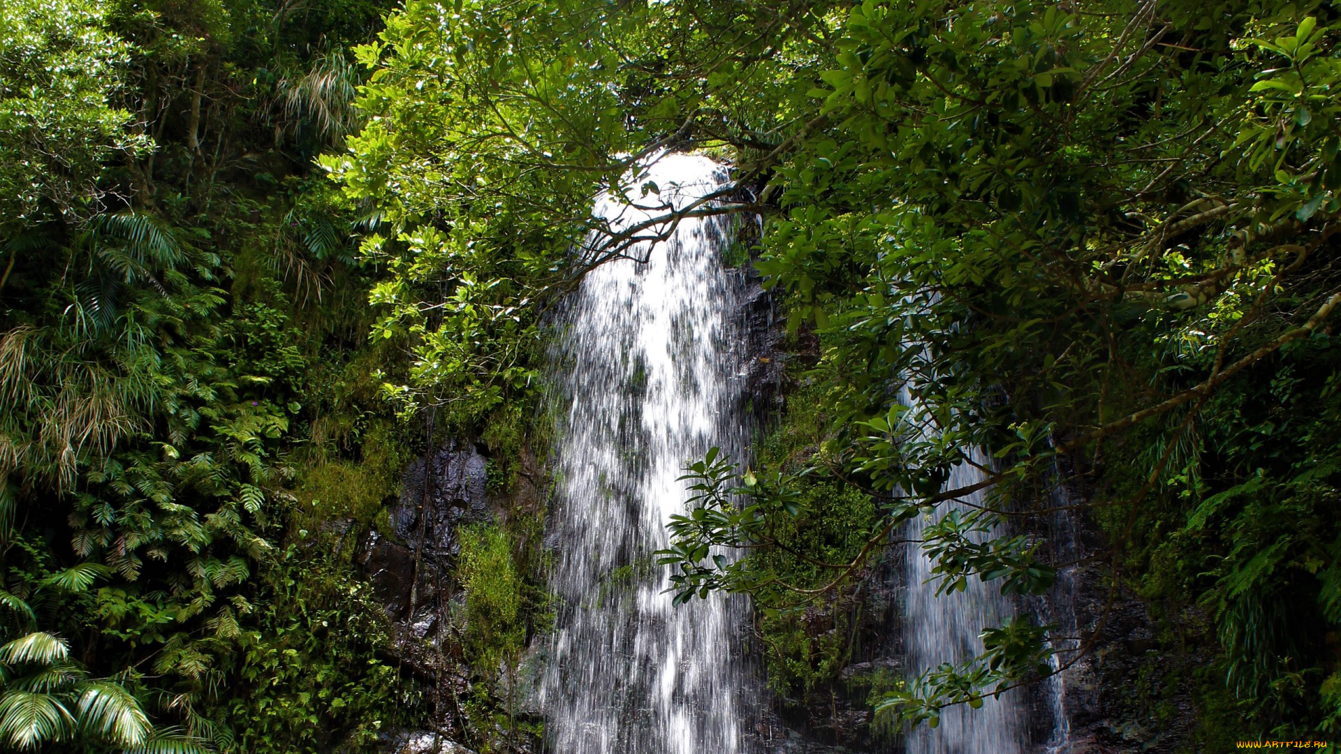 природа, водопады, поток, водопад, вода