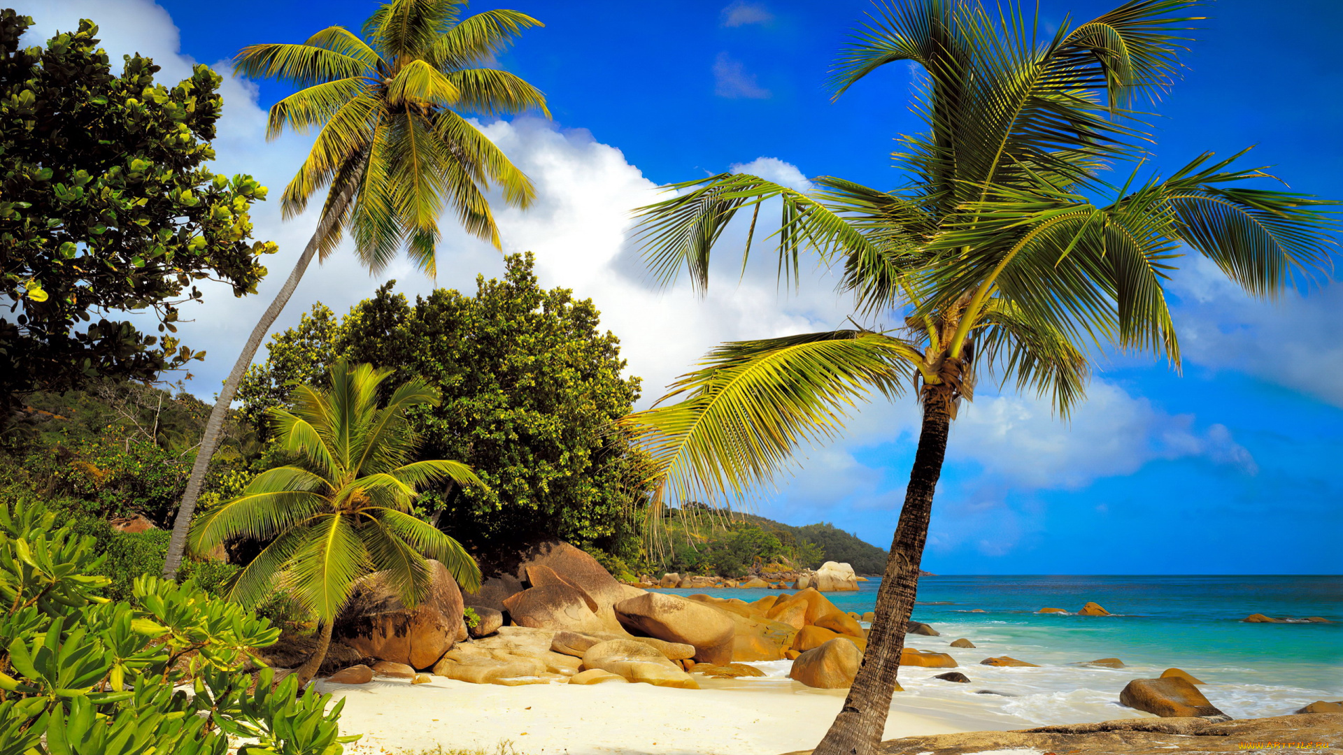 seychelles, природа, тропики