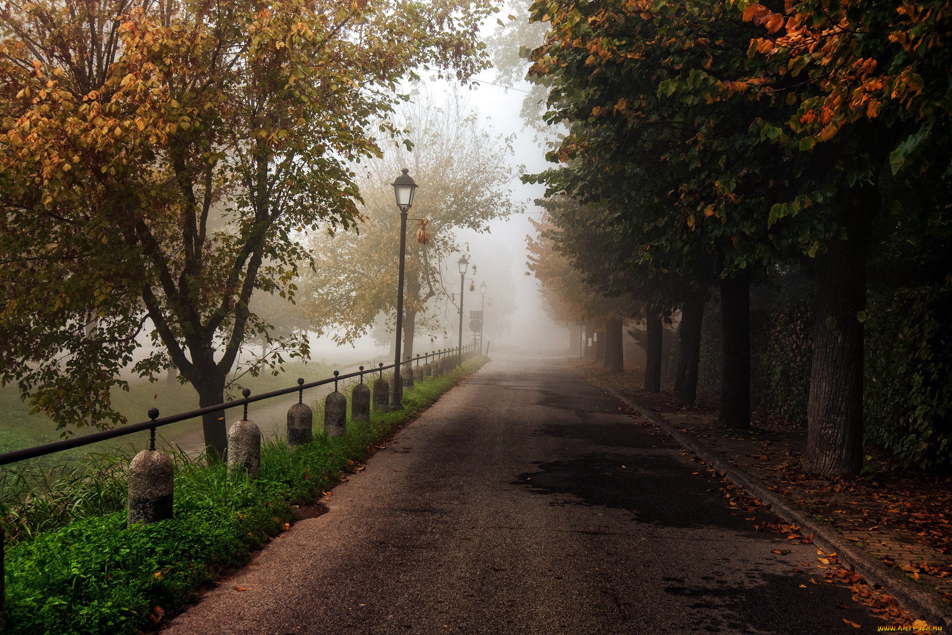 природа, дороги, шоссе, фонари, осень, туман