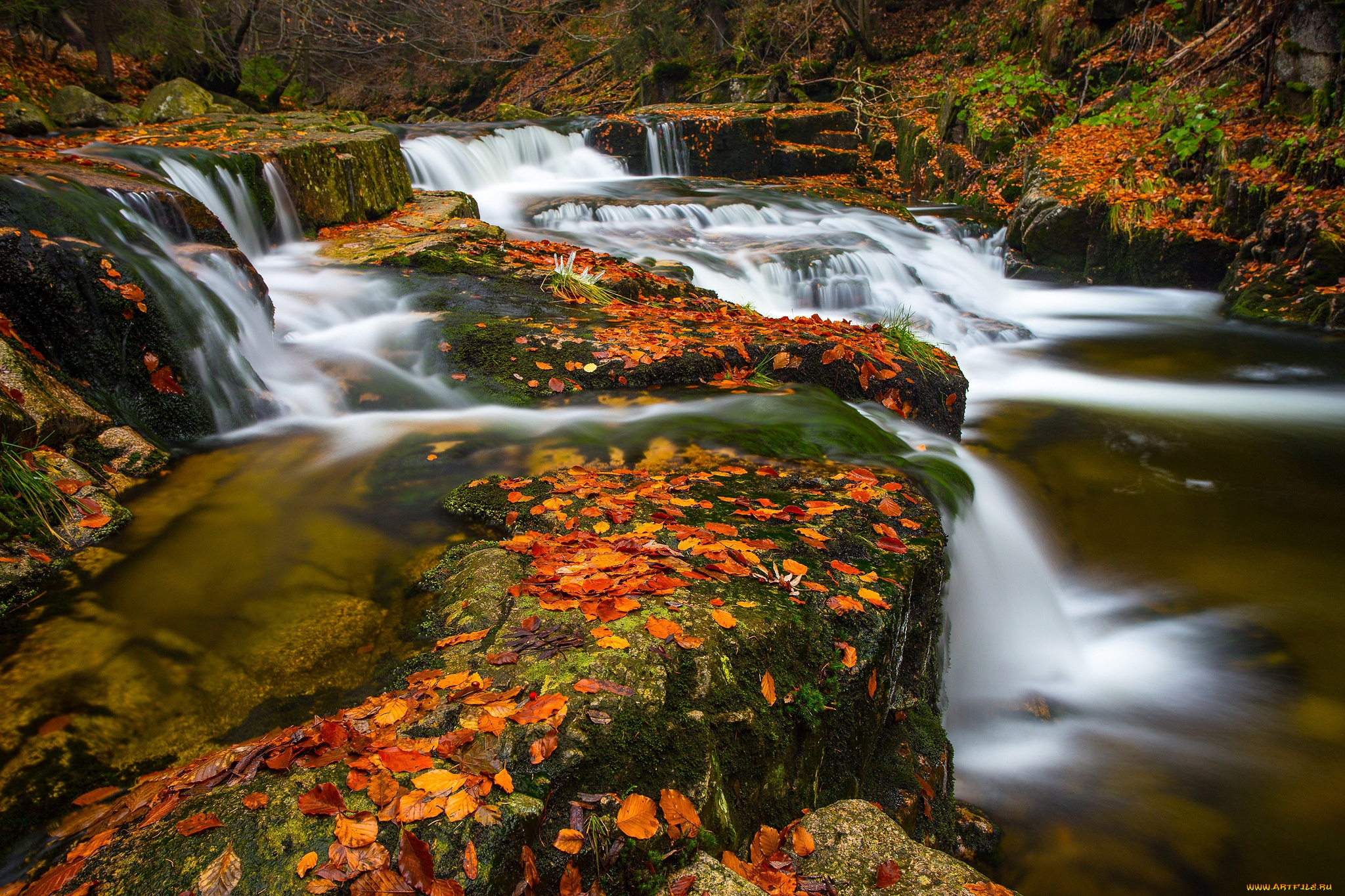 природа, водопады, водопад