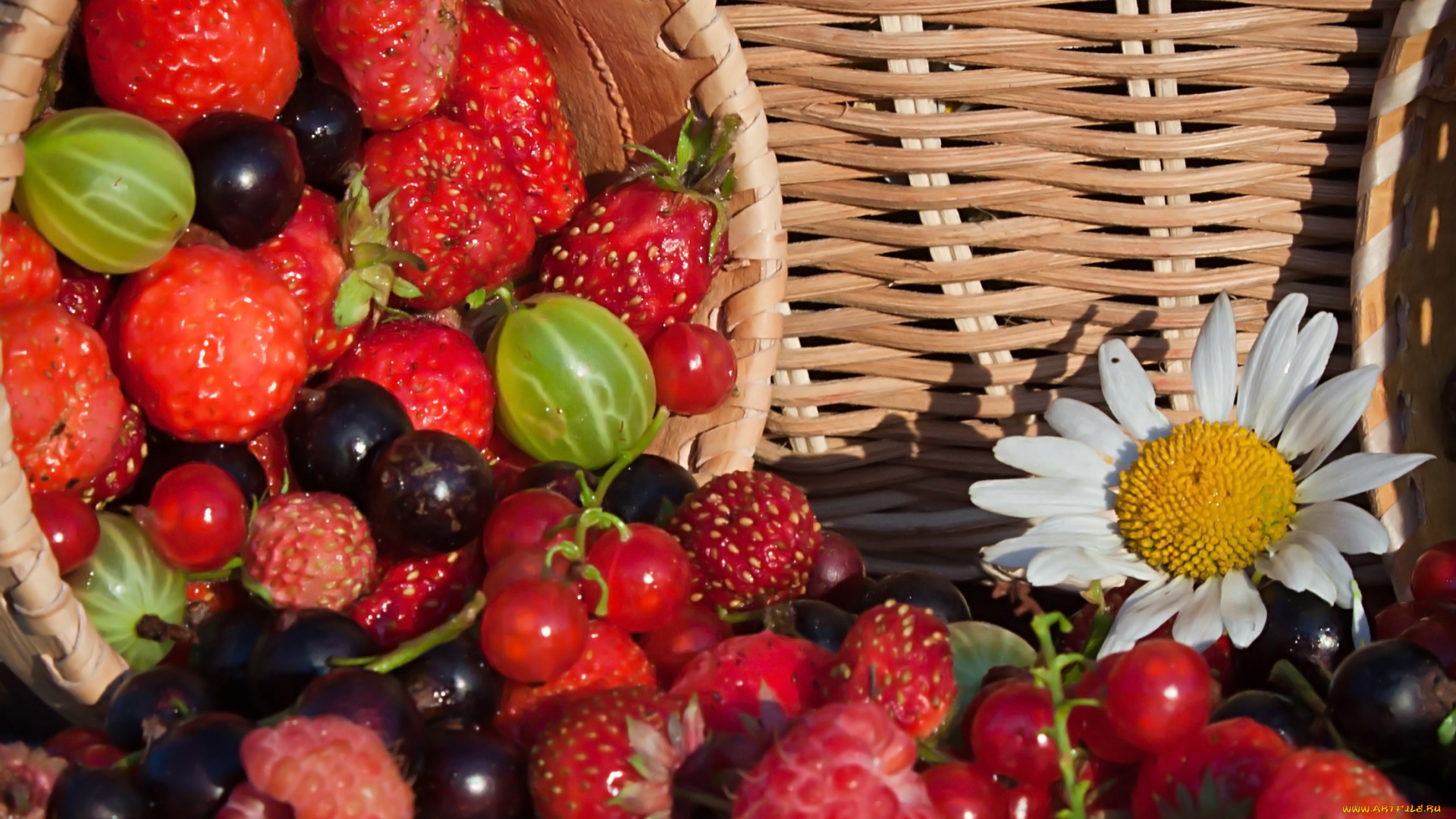 еда, фрукты, , ягоды, крыжовник, смородина, клубника, малина