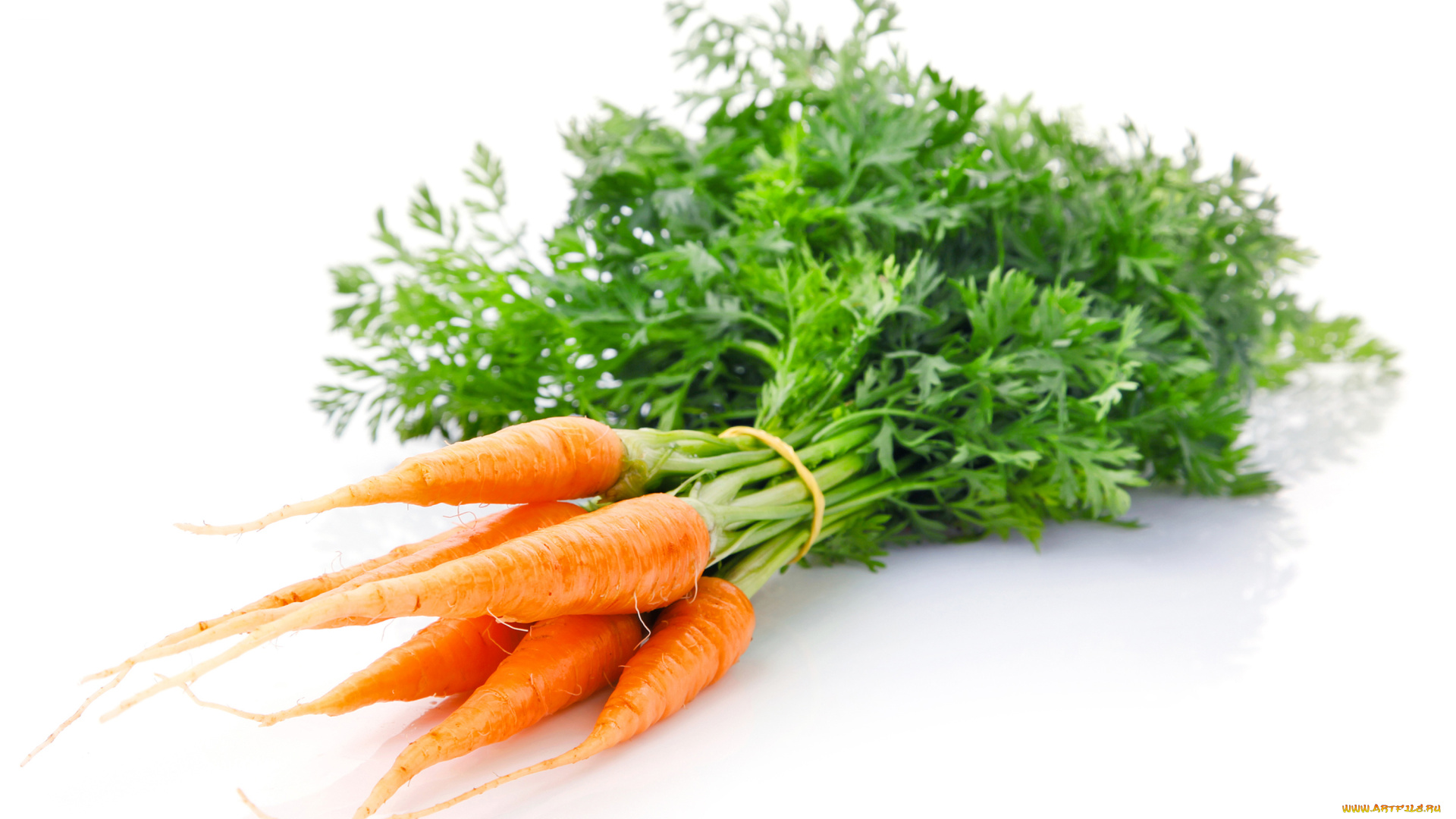 еда, морковь, плоды