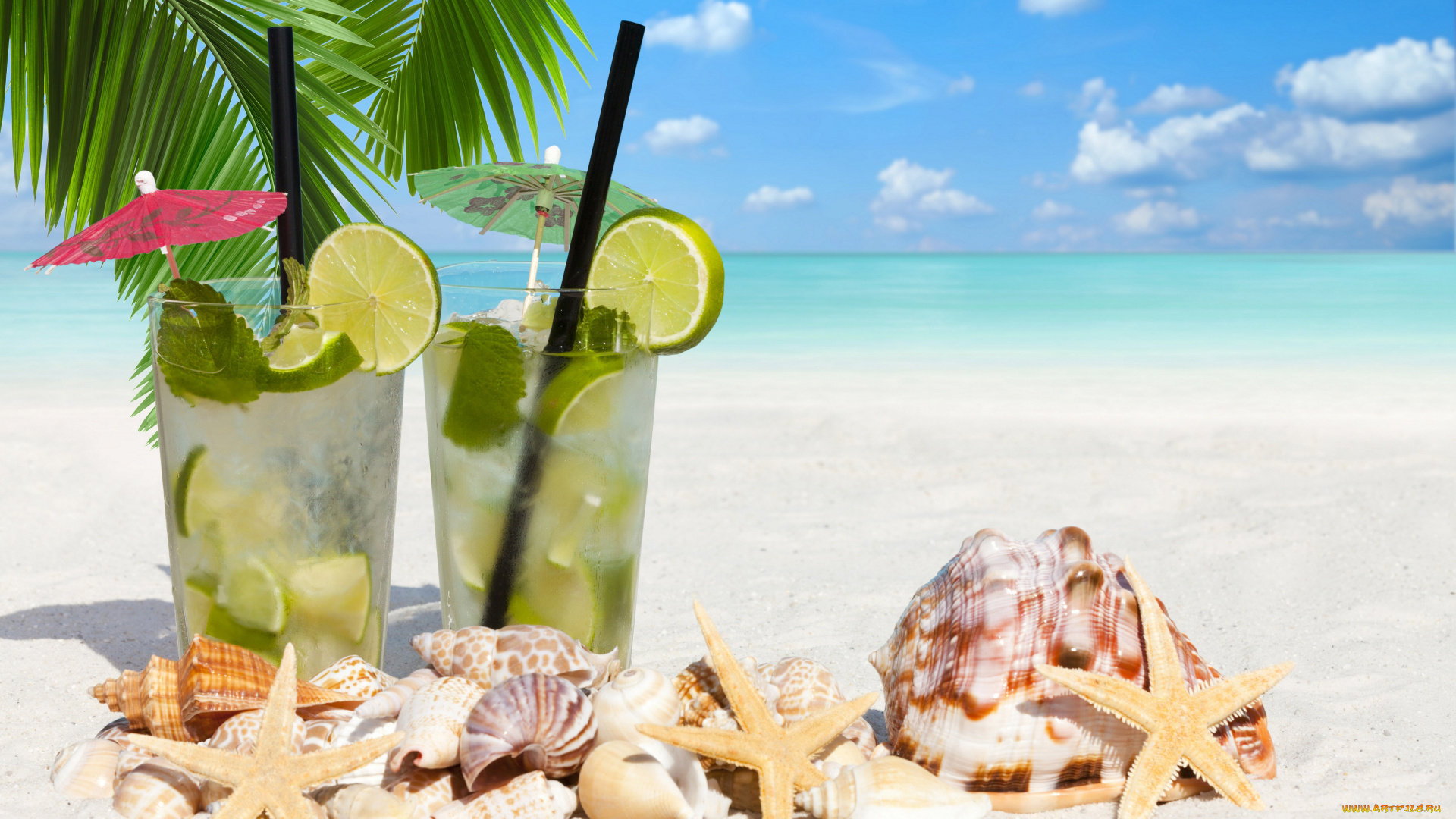 еда, напитки, , коктейль, пальма, пляж, palm, море, beach, лайм, котейль, морская, звезда, ракушки, sea, lime, total, starfish, shells