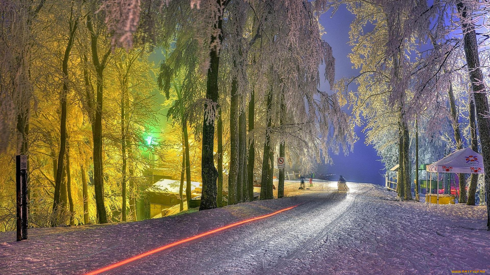 природа, дороги, дорога, деревья, снег, зима