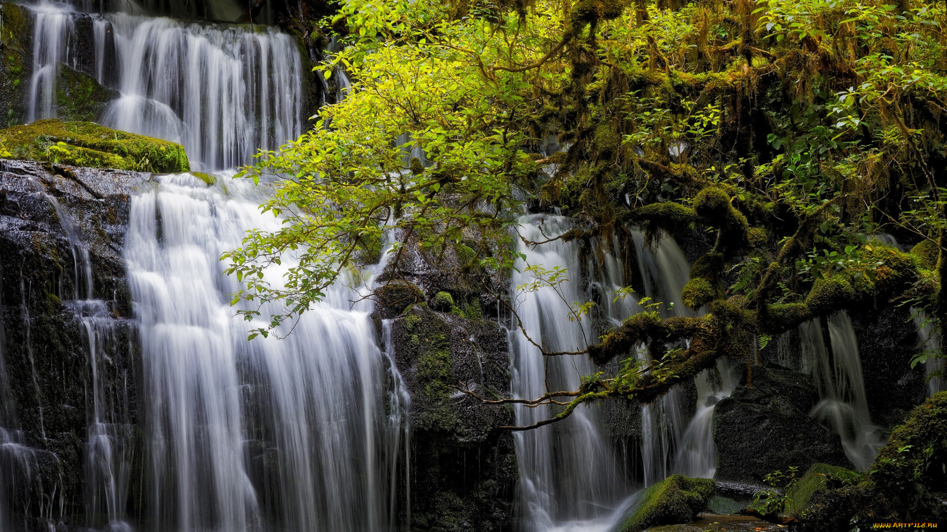 природа, водопады, new, zealand, каскад, новая, зеландия, tarara, тарара, purakanui, falls, отаго, otago, водопад, деревья