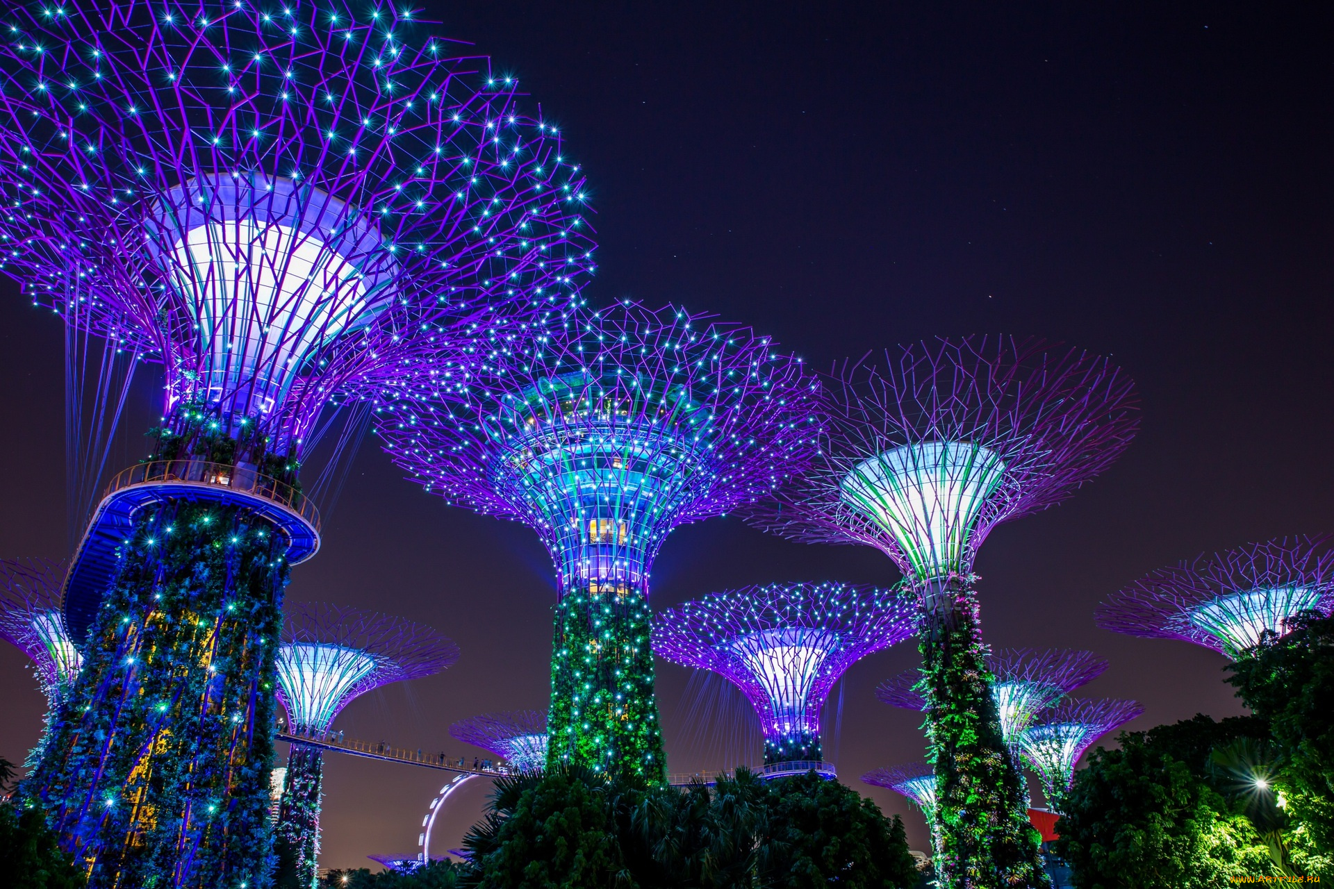 сингапур, разное, иллюминация, фонари, деревья, освещение