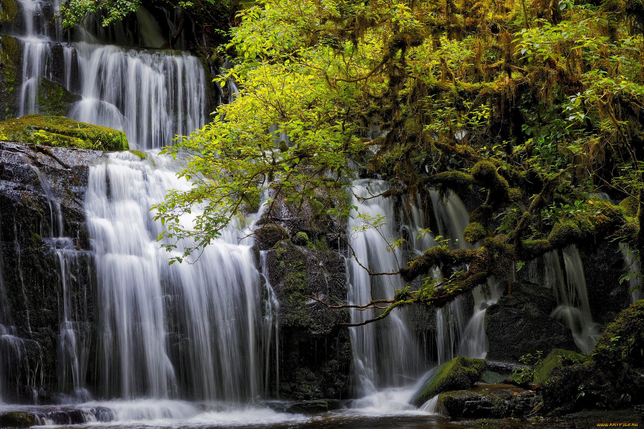 природа, водопады, new, zealand, каскад, новая, зеландия, tarara, тарара, purakanui, falls, отаго, otago, водопад, деревья