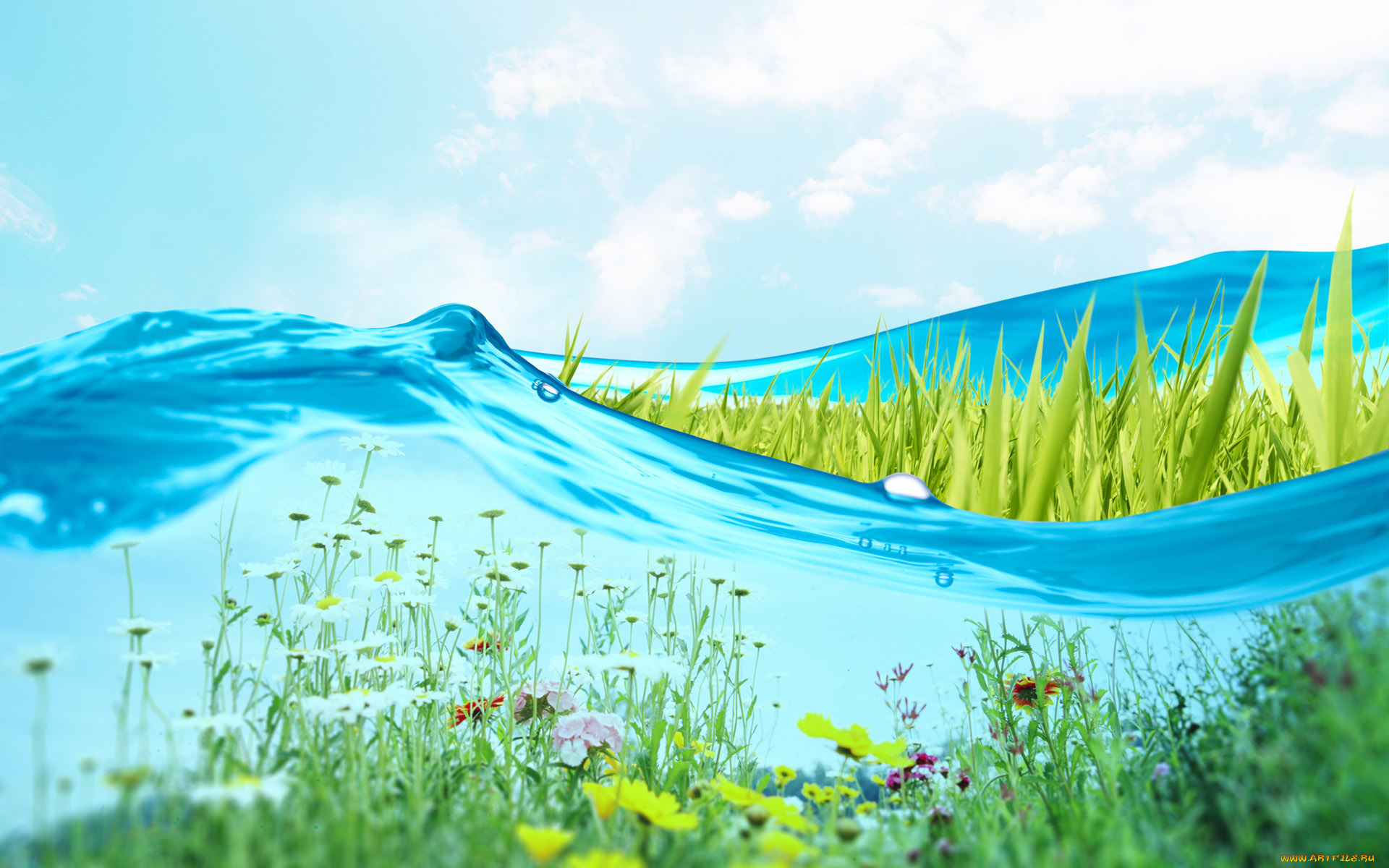 всплеск вода природа трава загрузить