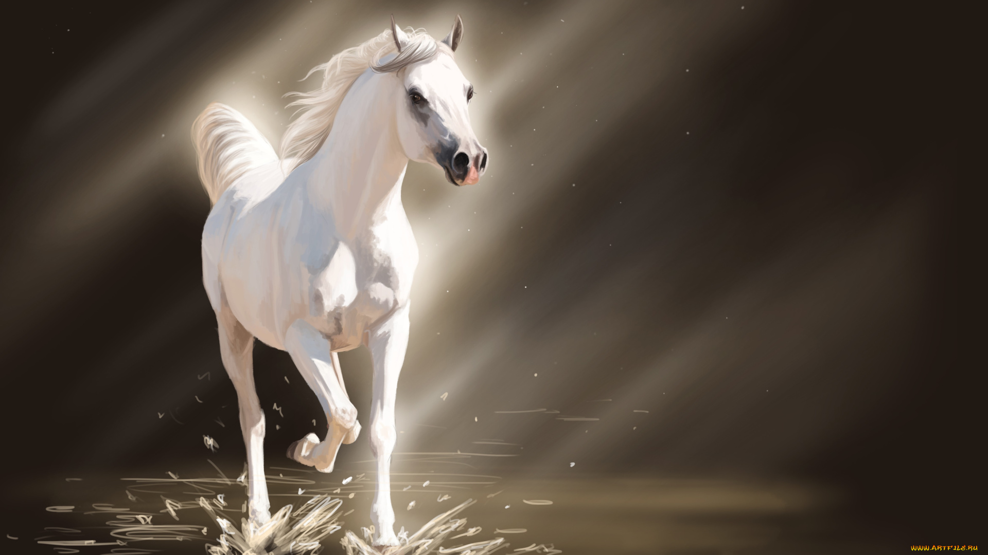 рисованные, животные, лошади, лучи, свет, вода, брызги, белая, лошадь