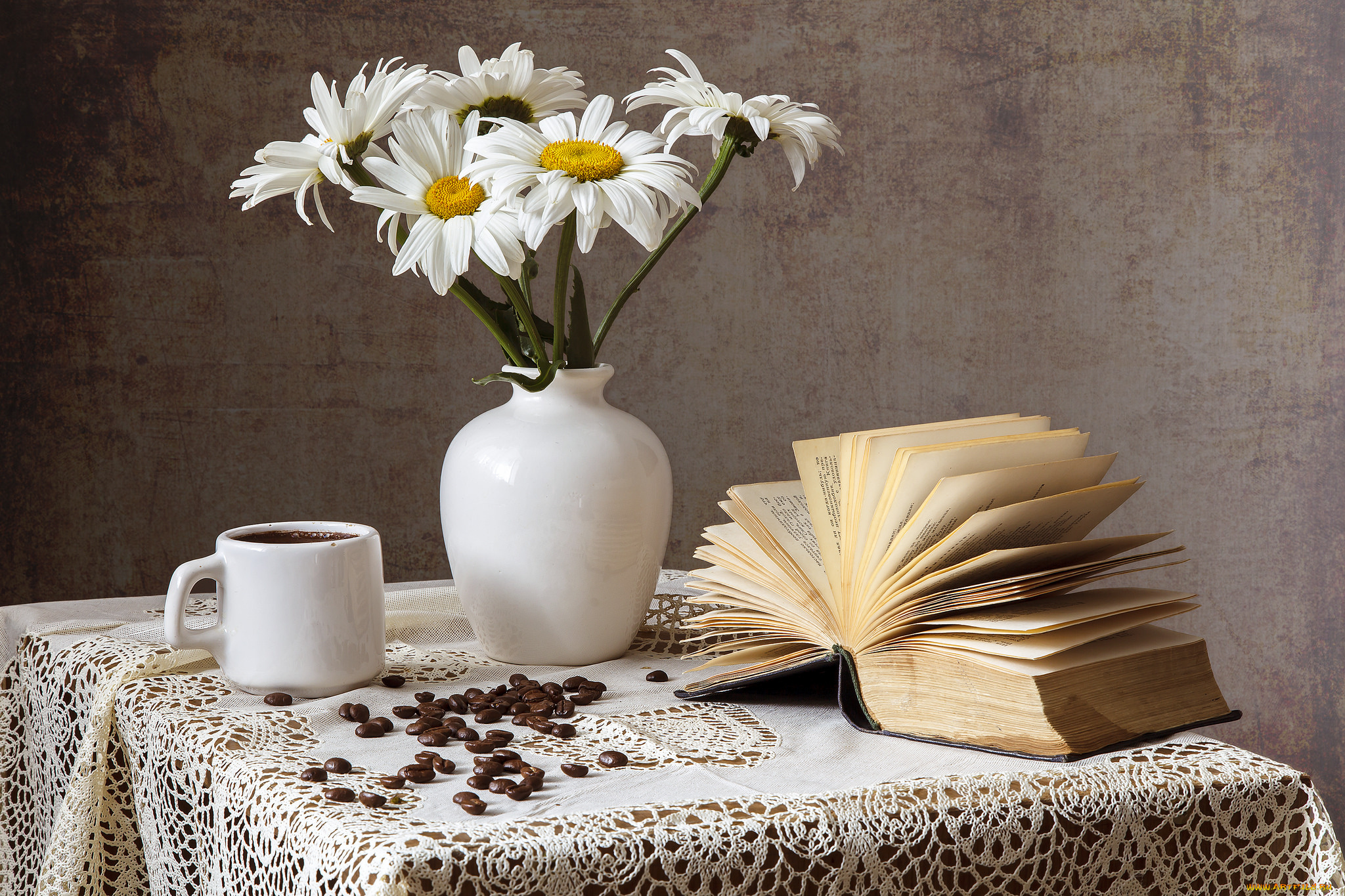 цветы, ромашки, ваза, книга