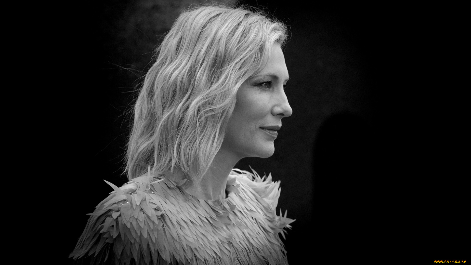 девушки, cate, blanchett, cate, blanchett