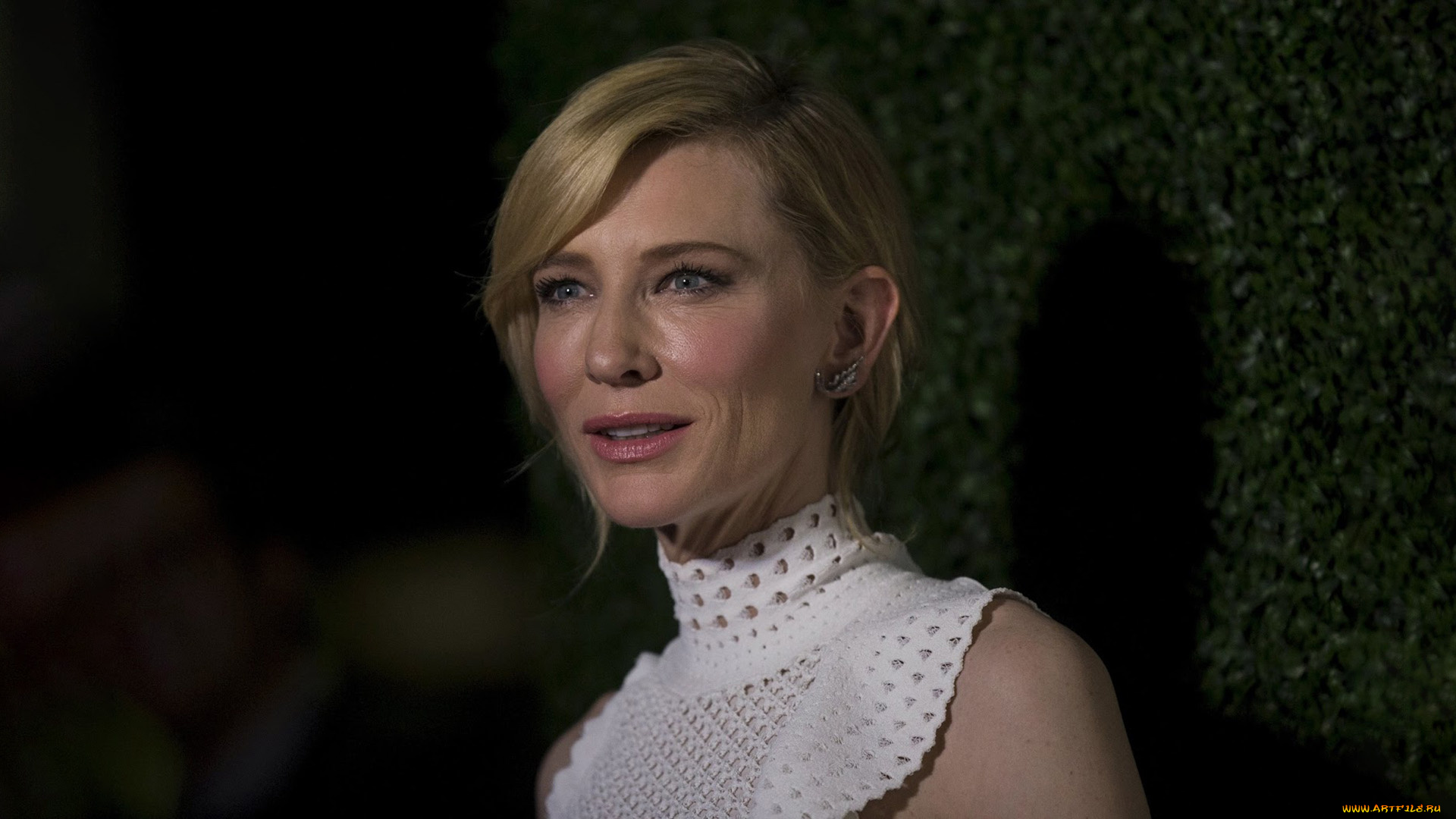 девушки, cate, blanchett, cate, blanchett