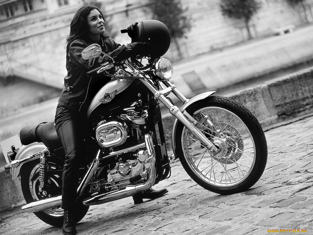 мотоциклы, harley, davidson