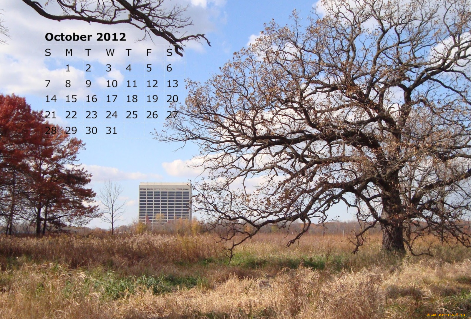 календари, природа, дерево, осень