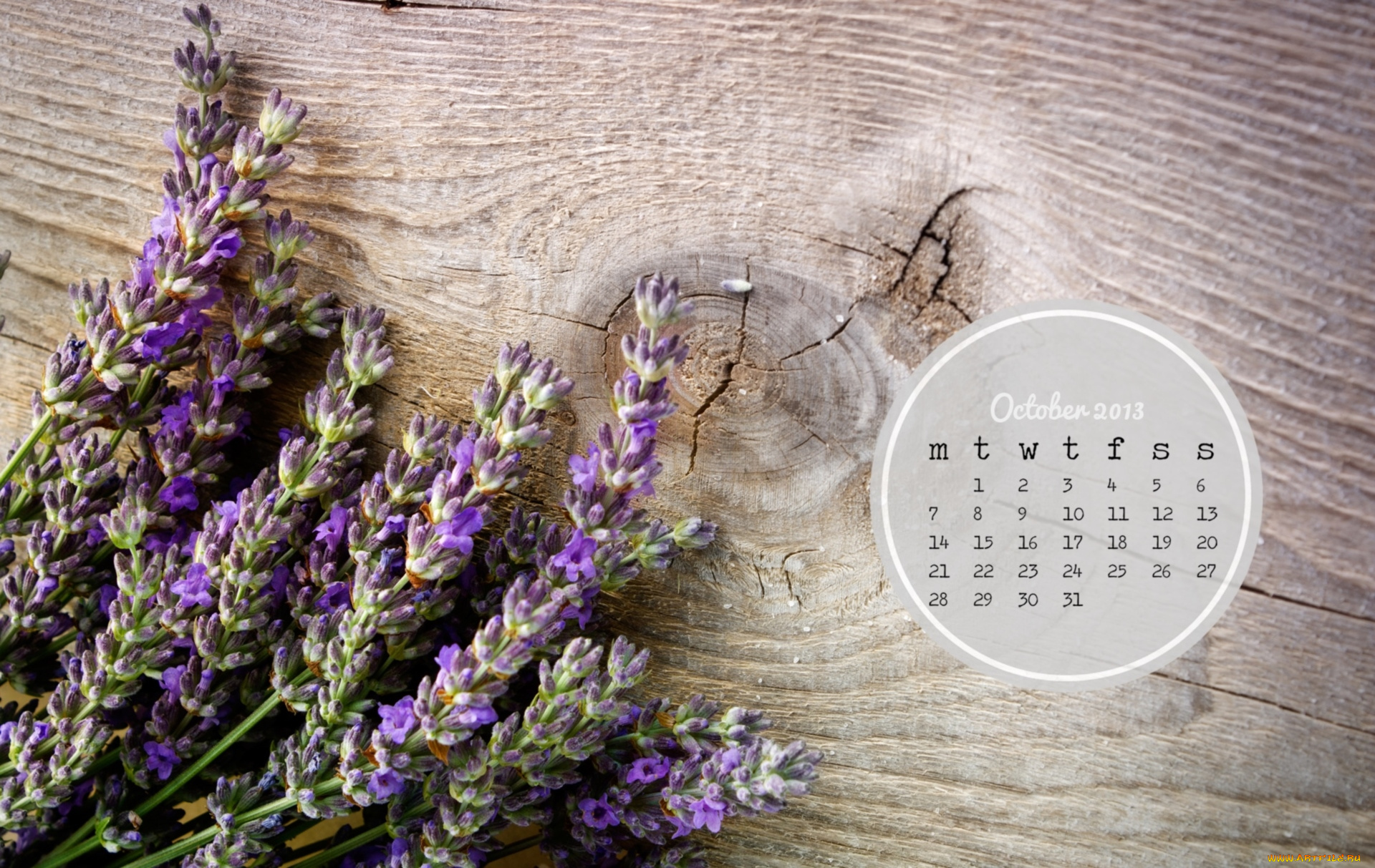 календари, цветы, лаванда