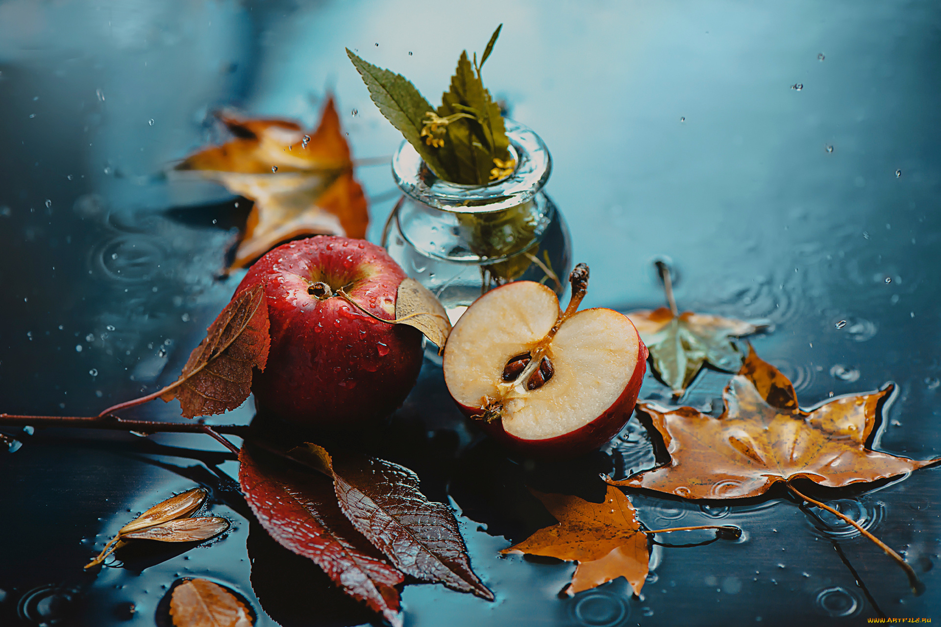 еда, Яблоки, осень, капли, листья, яблоки