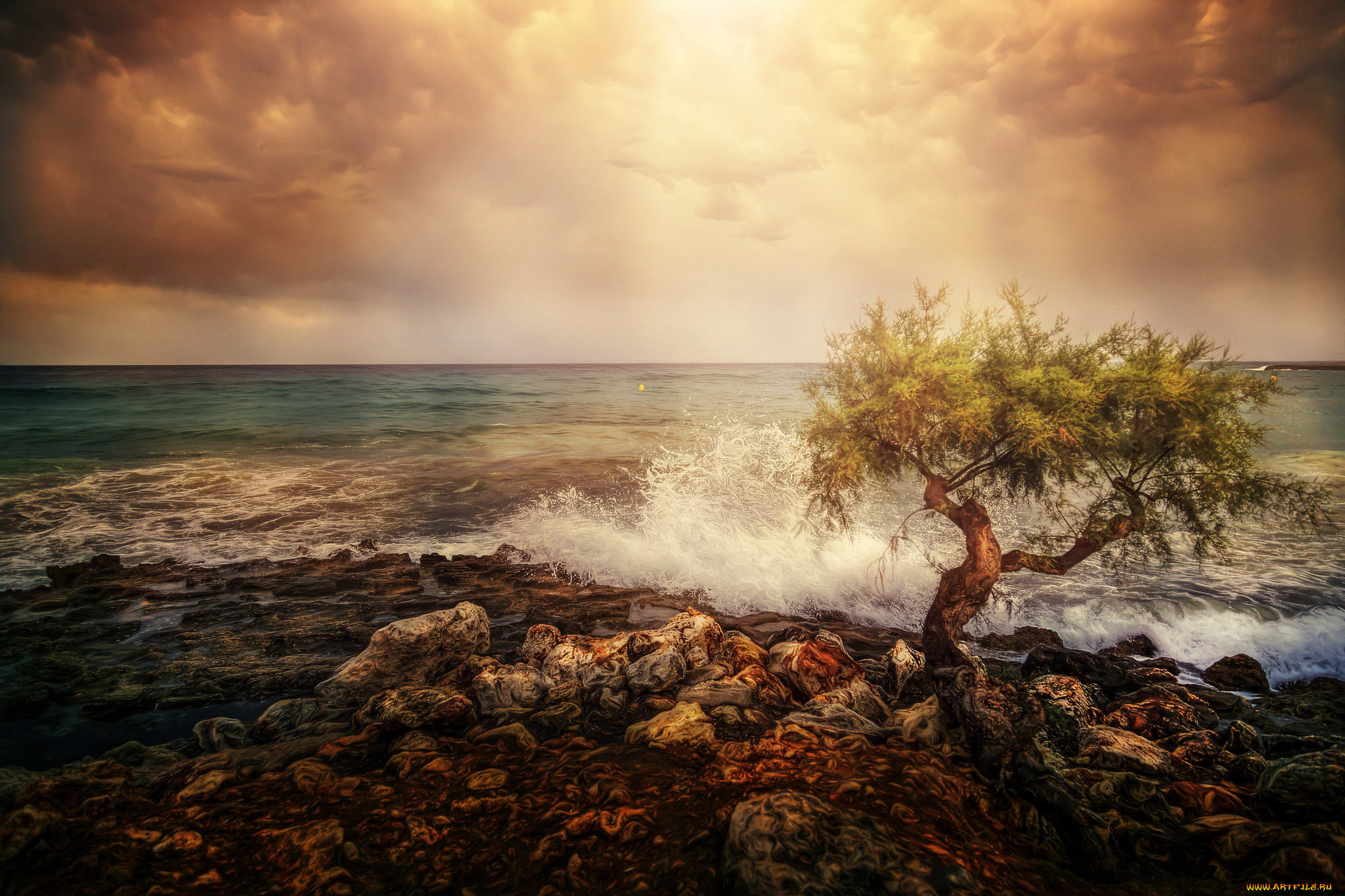природа, побережье, камни, море, дерево, небо