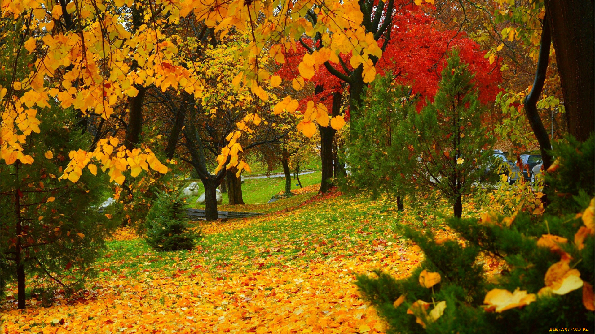 природа, парк, деревья, листопад, autumn, листва, park, leaves, colors, trees, fall, осень
